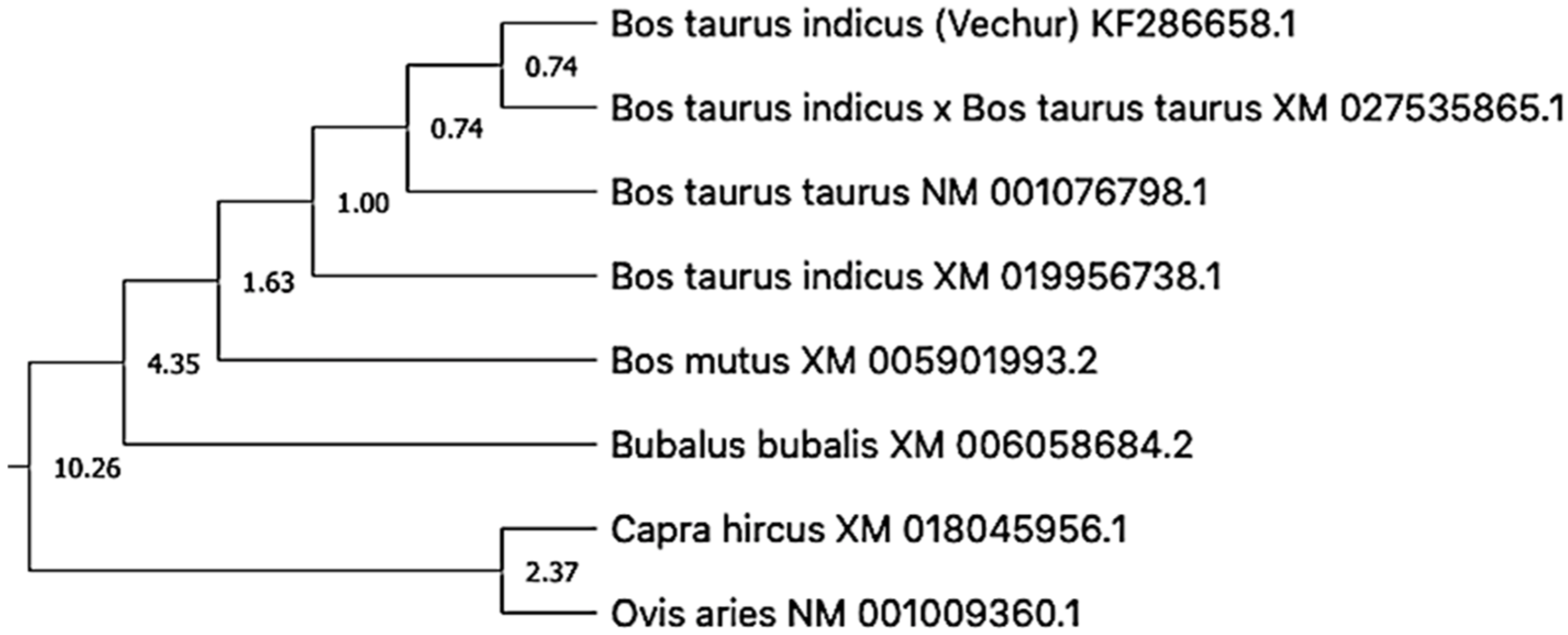 Animals 11 02368 g006