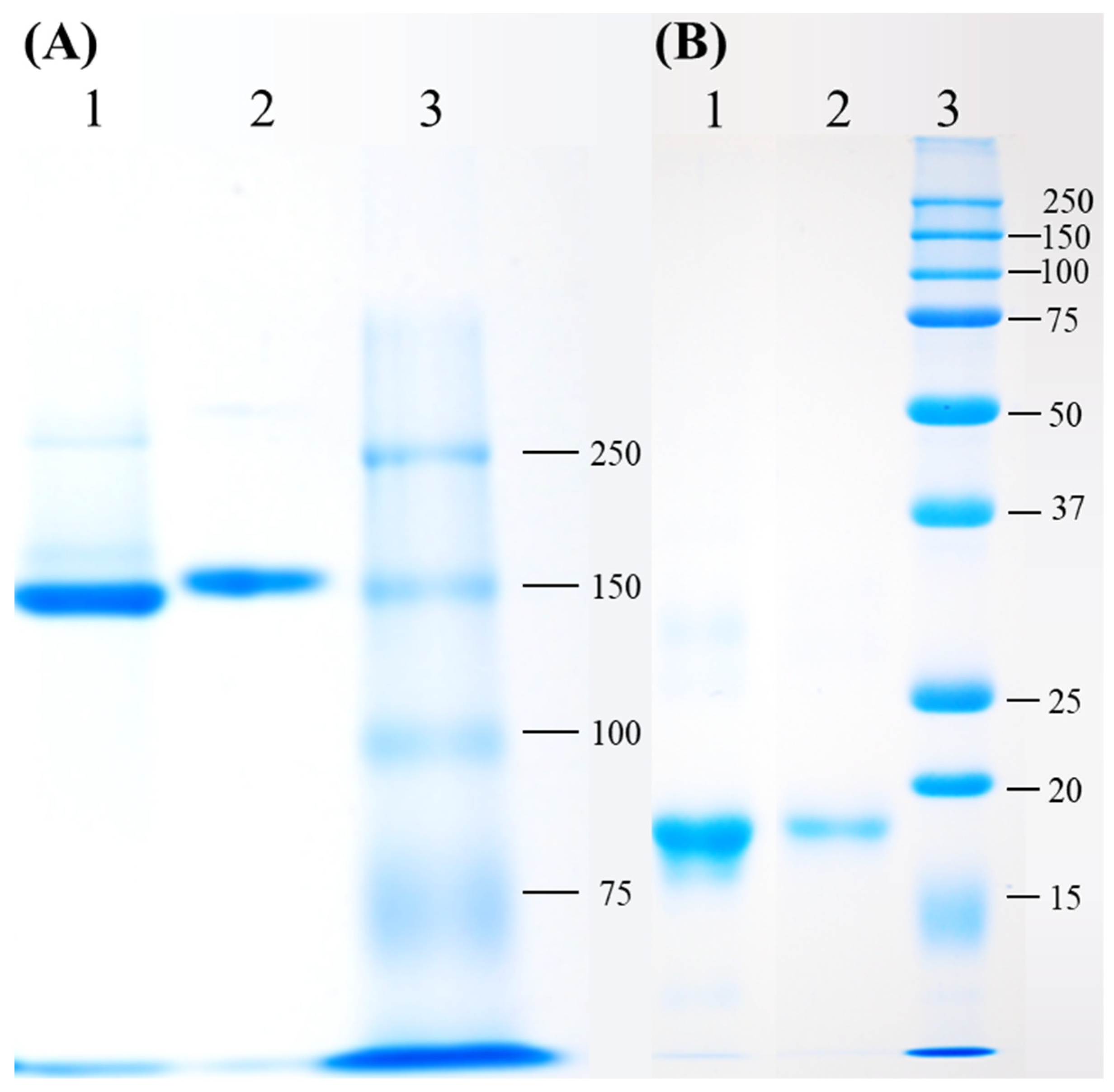 Animals 11 02371 g001 Animals 11 02371 g001