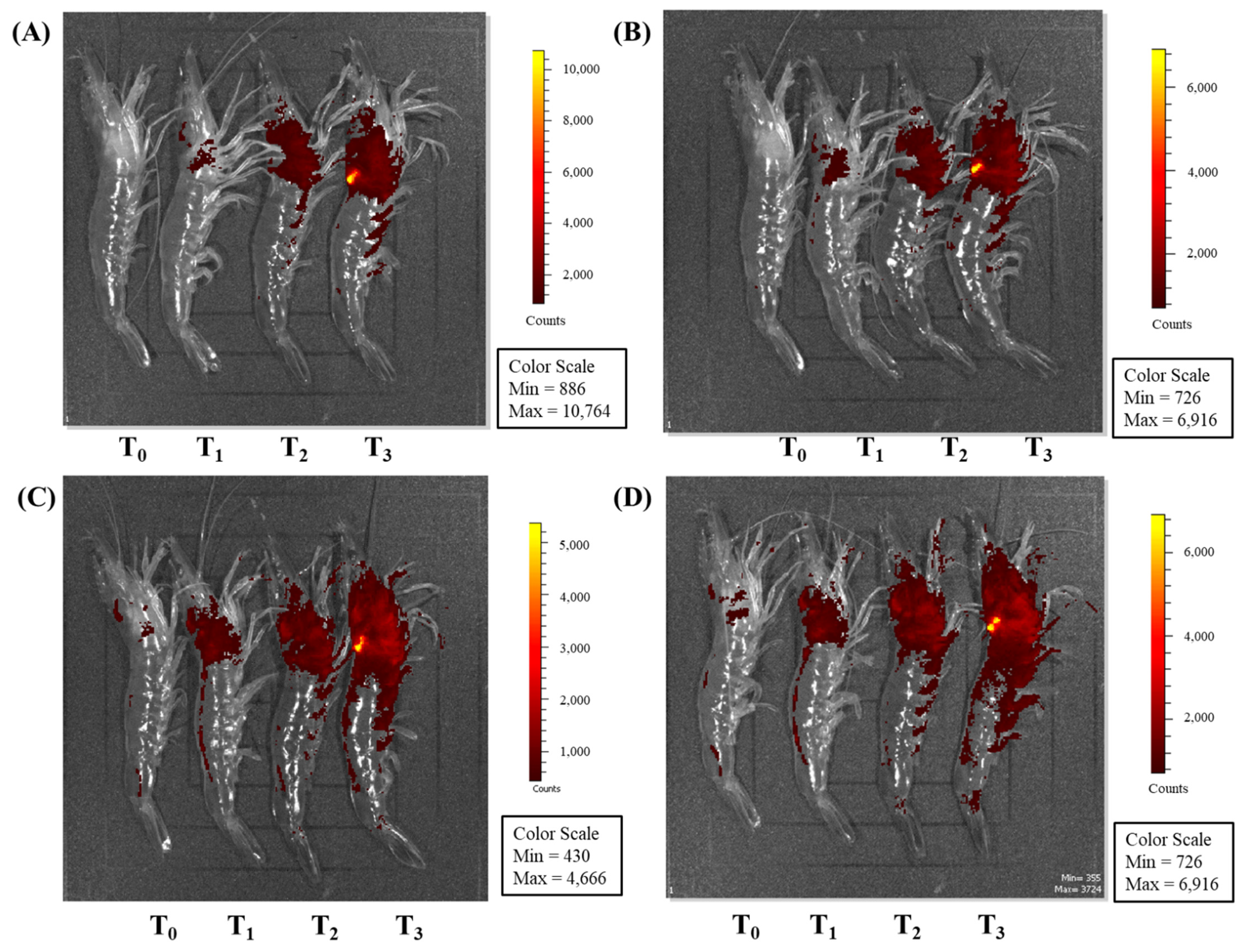 Animals 11 02371 g006 Animals 11 02371 g006