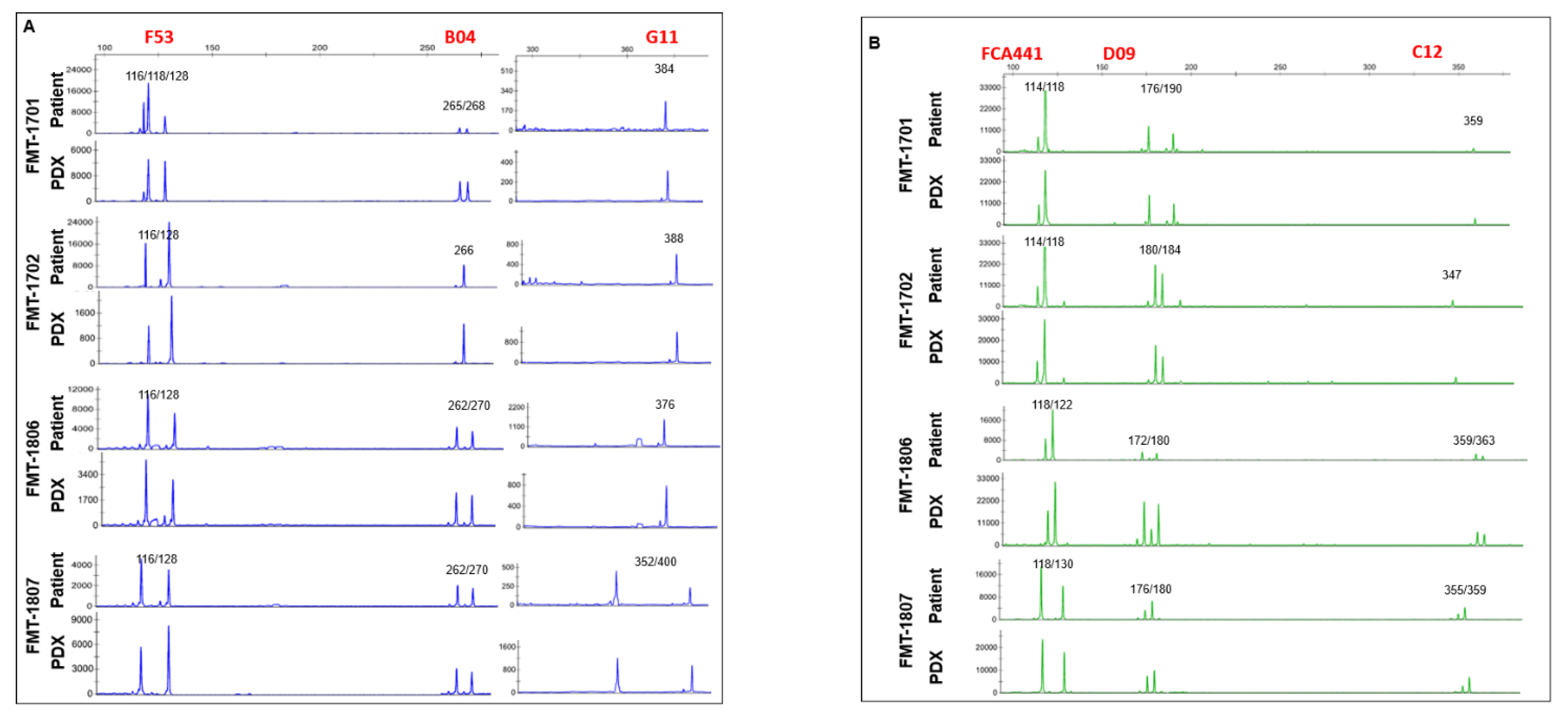 Animals 11 02380 g003a