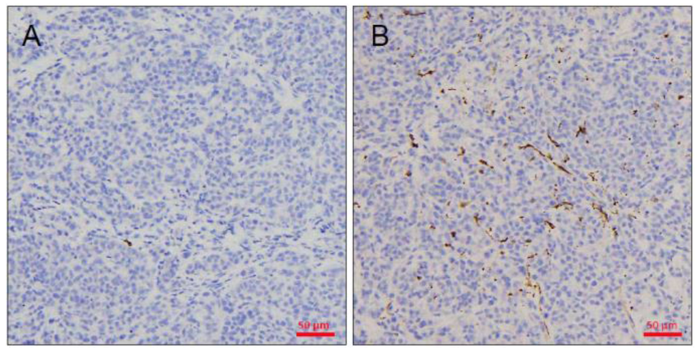 Animals 11 02380 g004