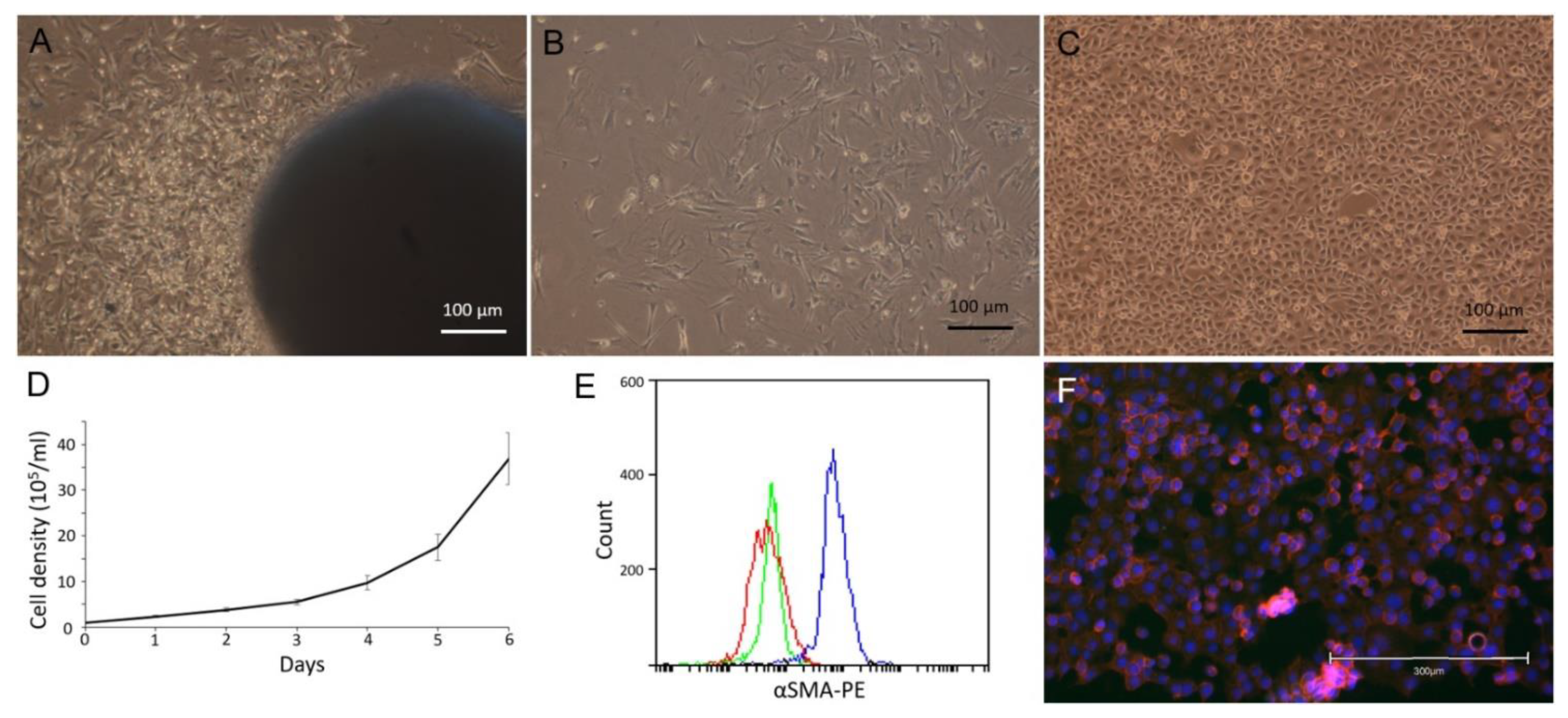 Animals 11 02380 g007