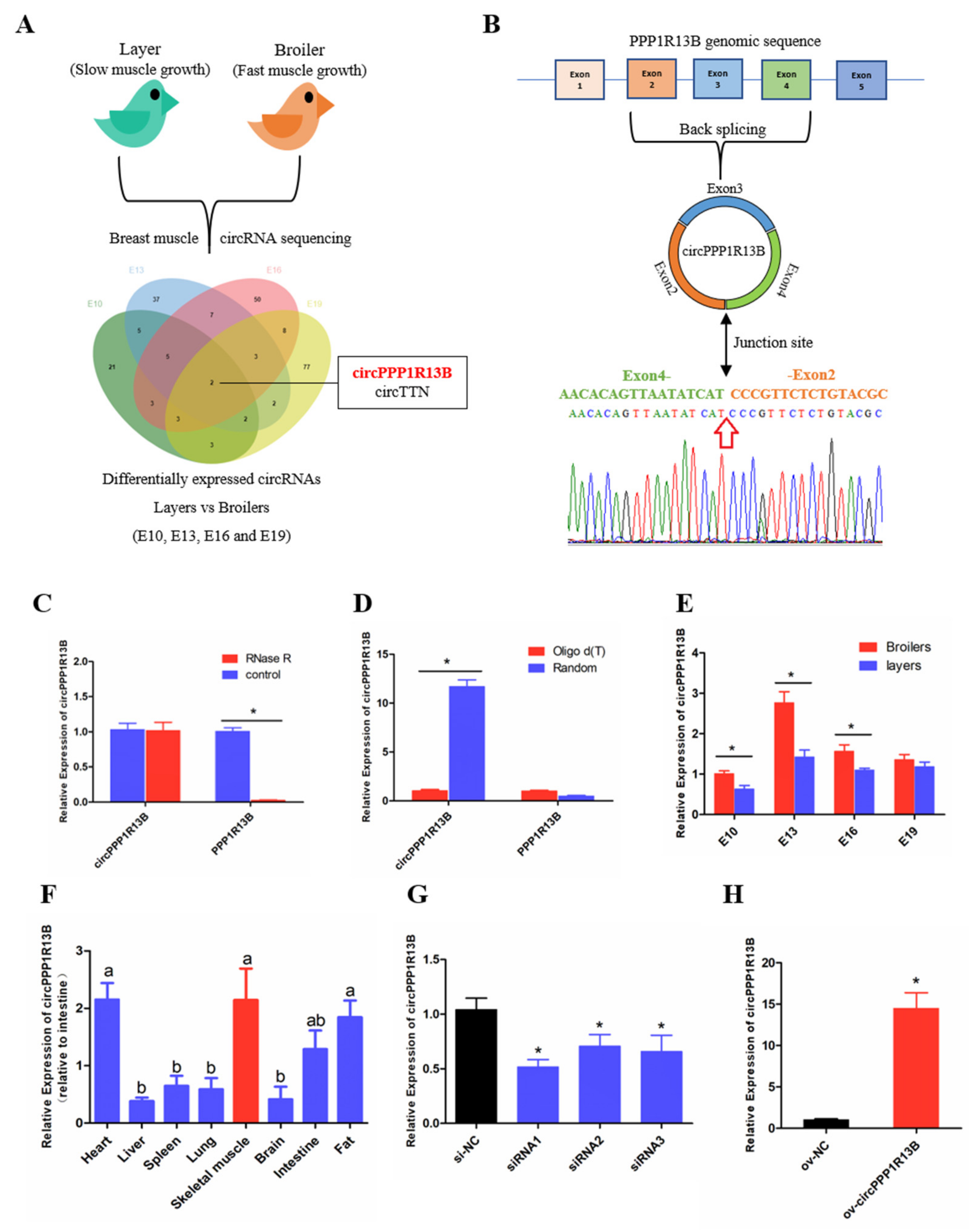 Animals 11 02396 g001