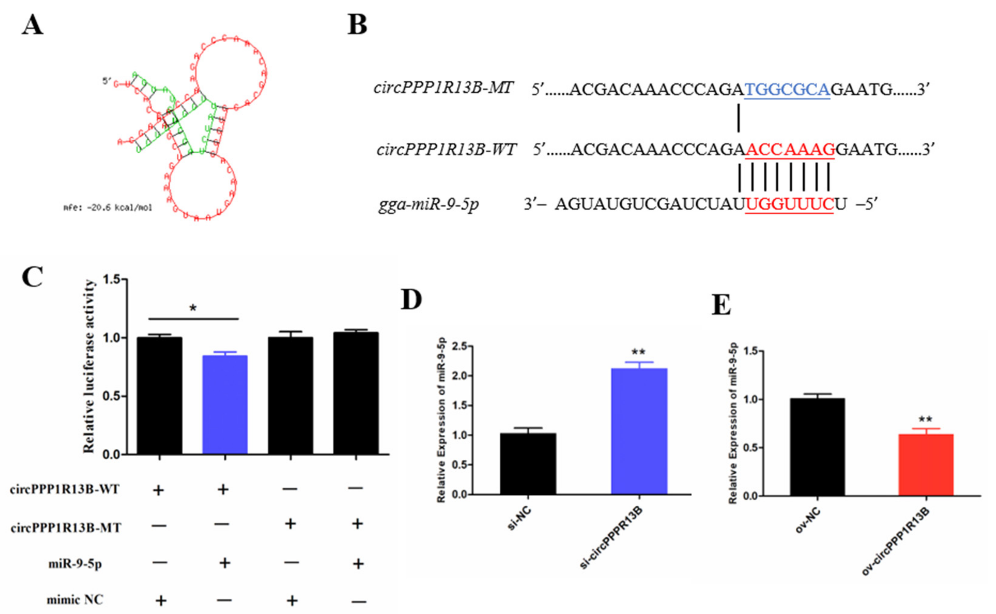 Animals 11 02396 g002