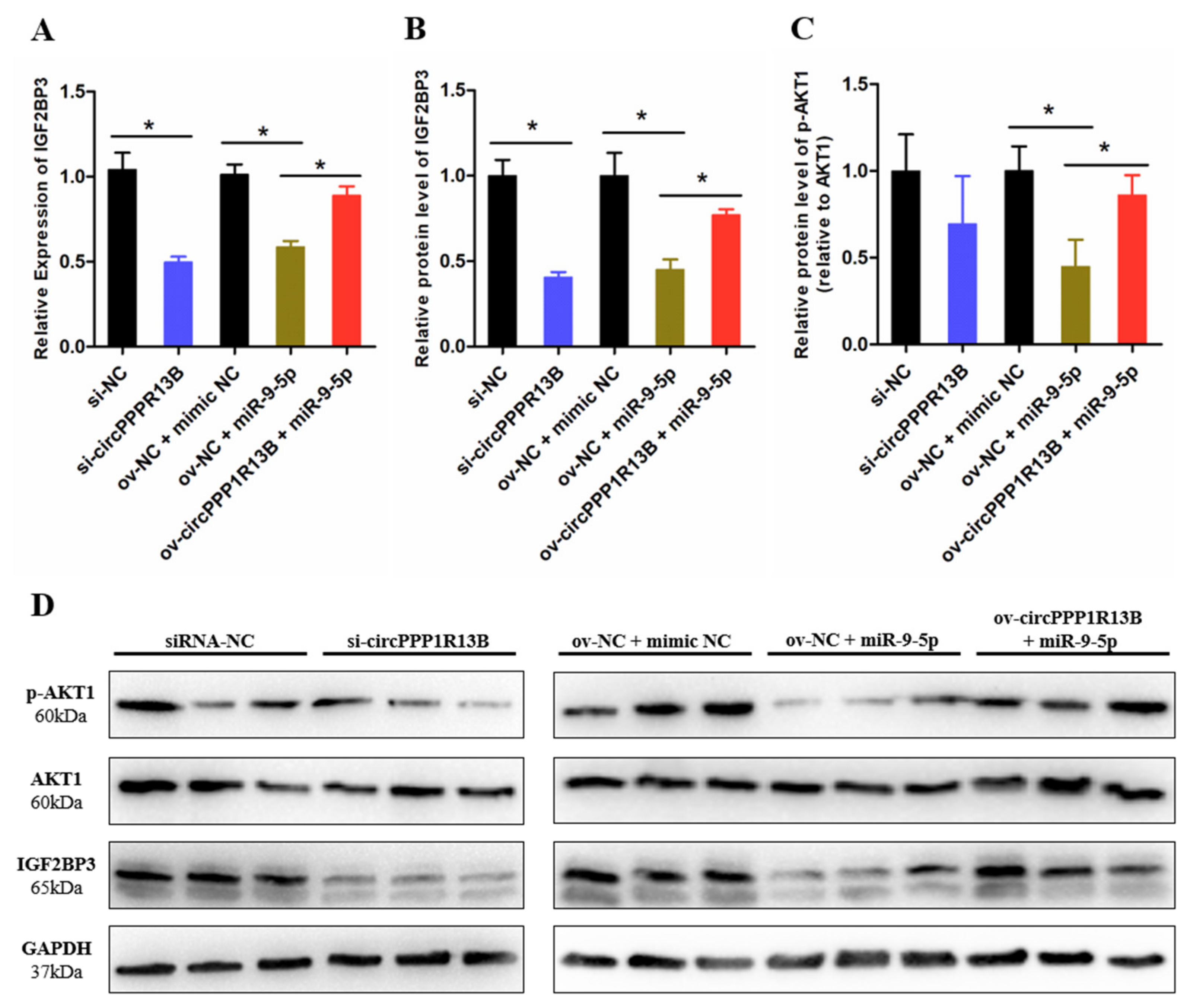 Animals 11 02396 g003