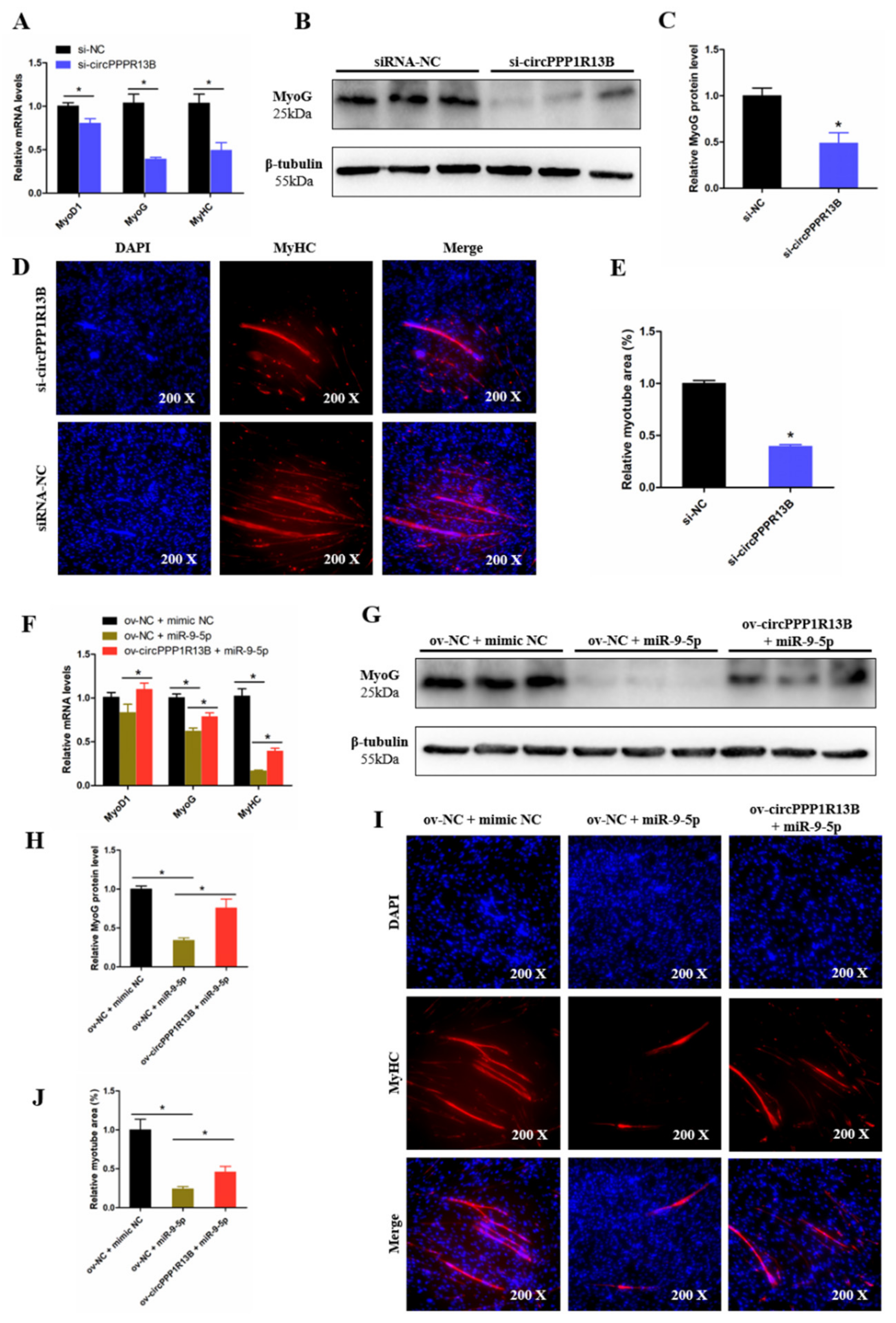 Animals 11 02396 g005