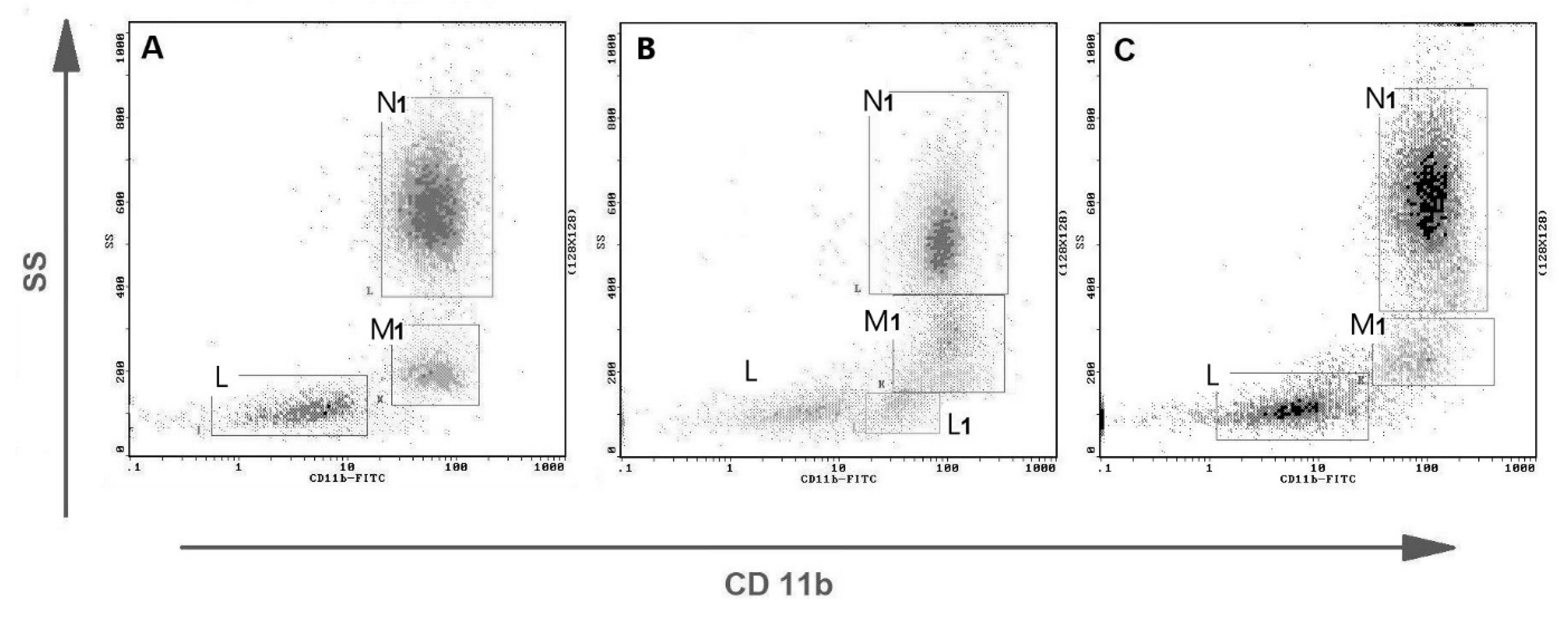 Animals 11 02398 g004