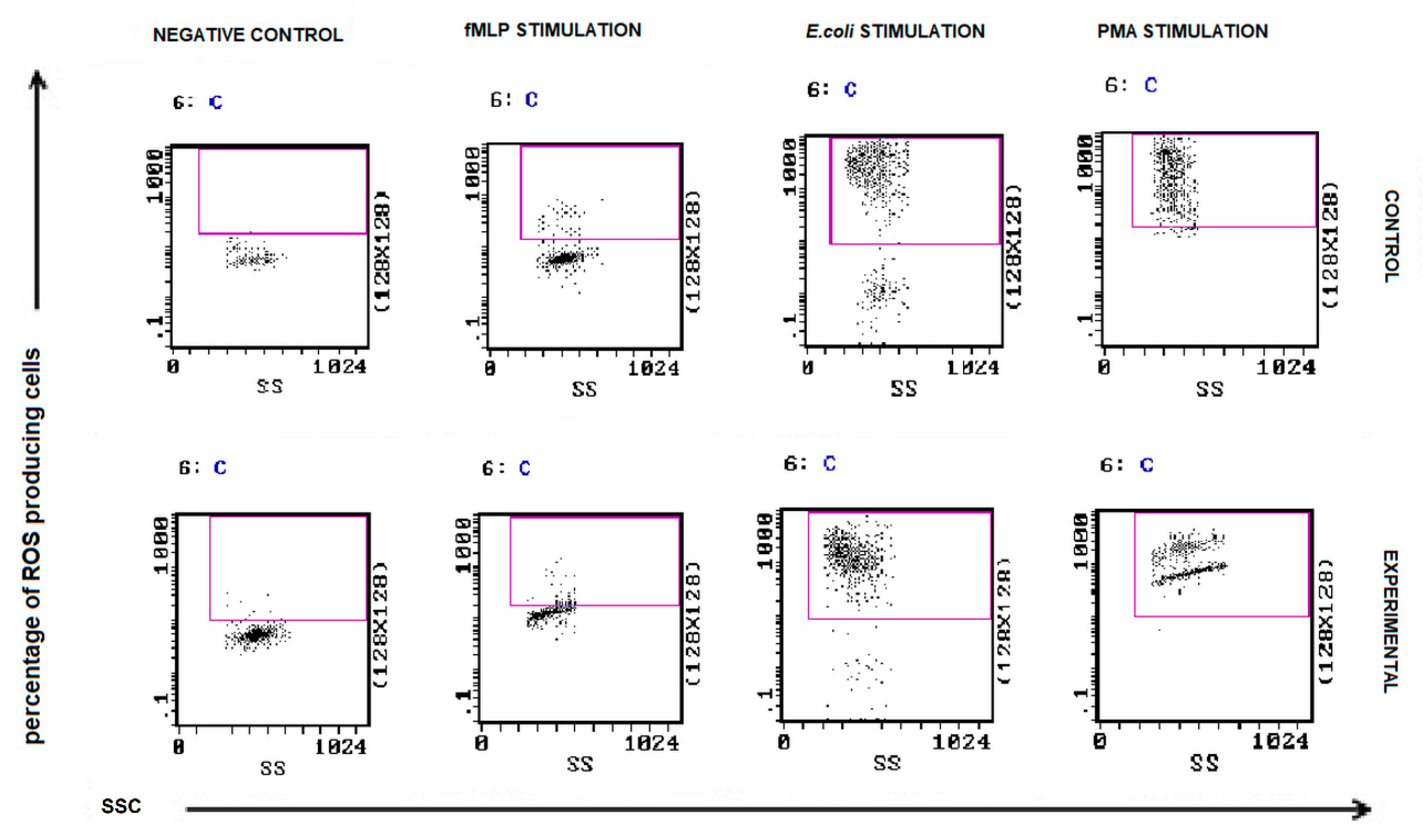 Animals 11 02398 g008
