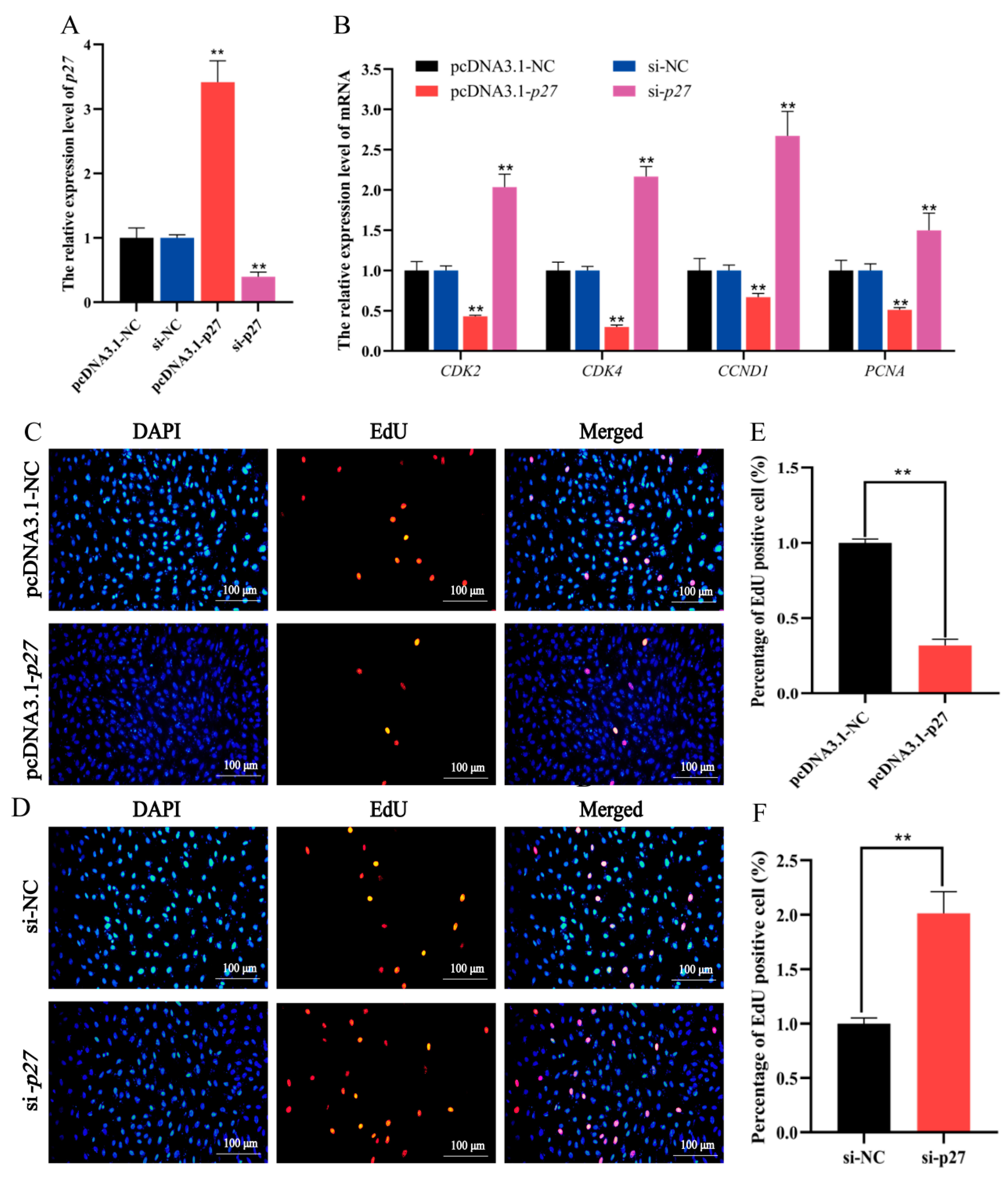 Animals 11 02417 g007