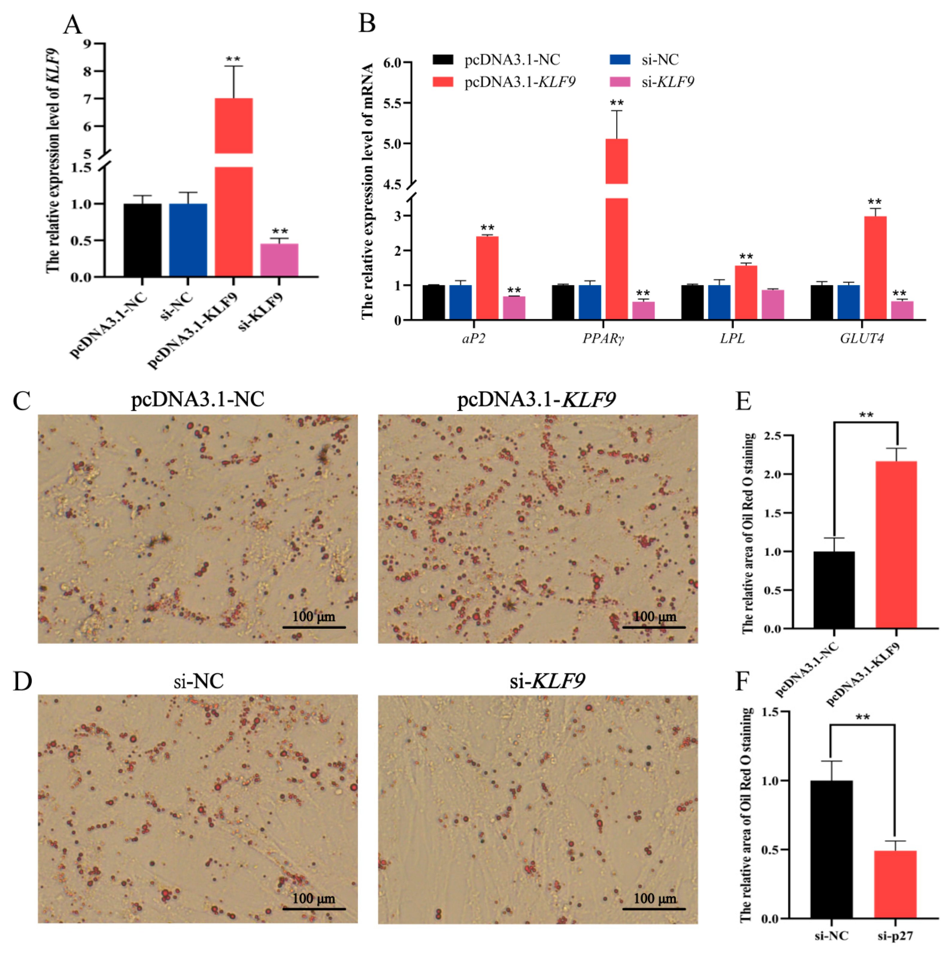 Animals 11 02417 g008