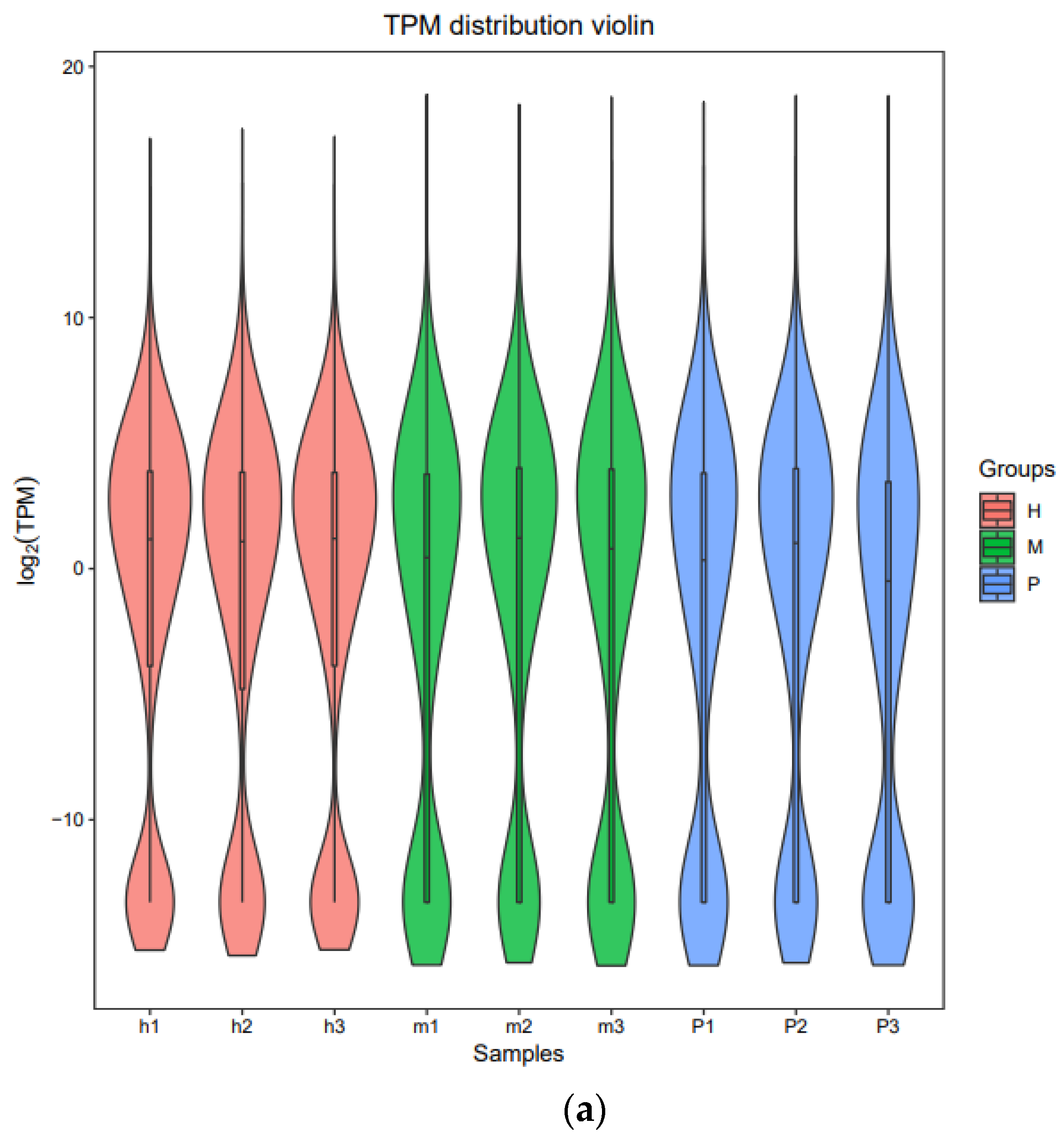 Animals 11 02420 g001a