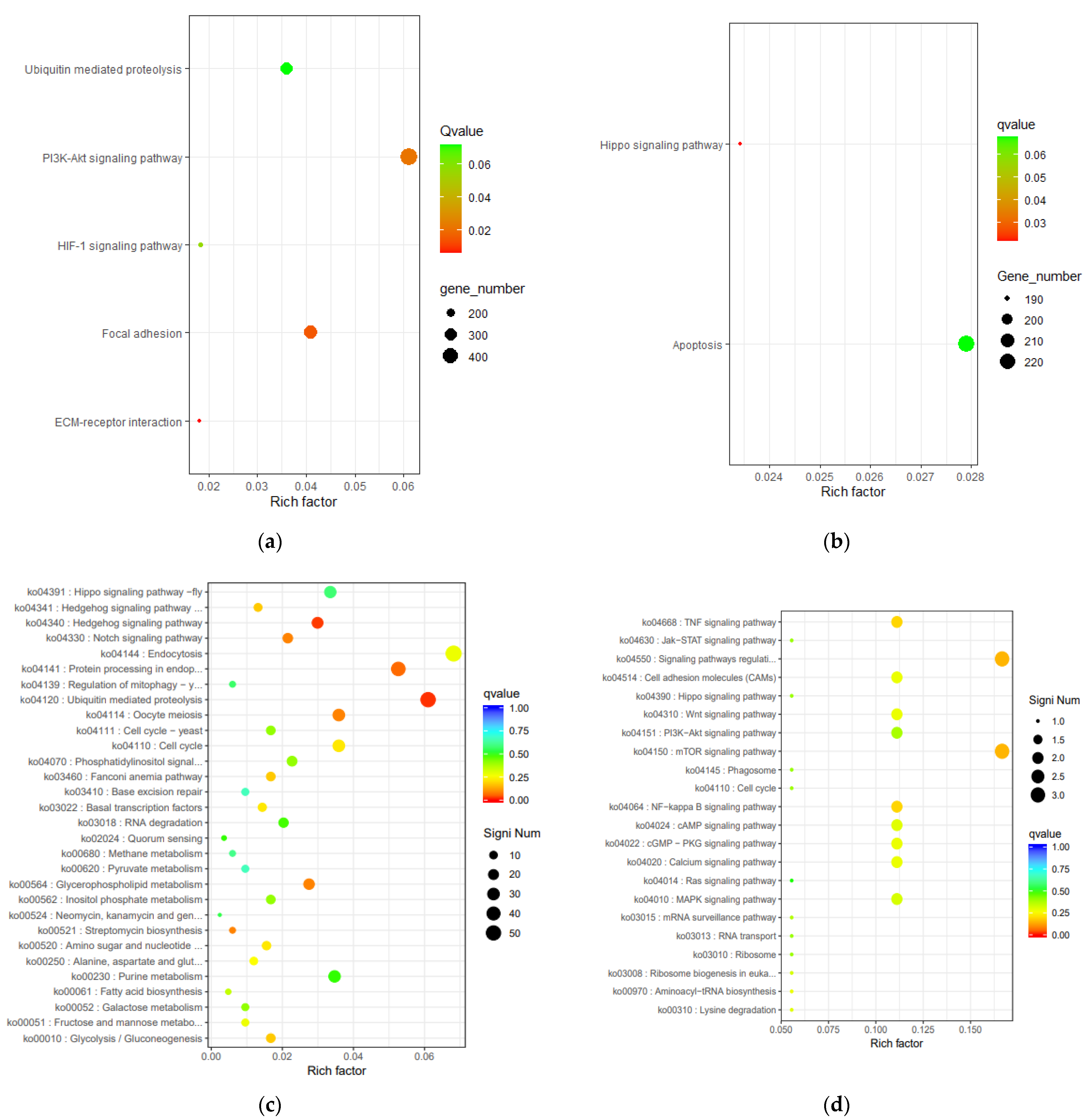 Animals 11 02420 g006