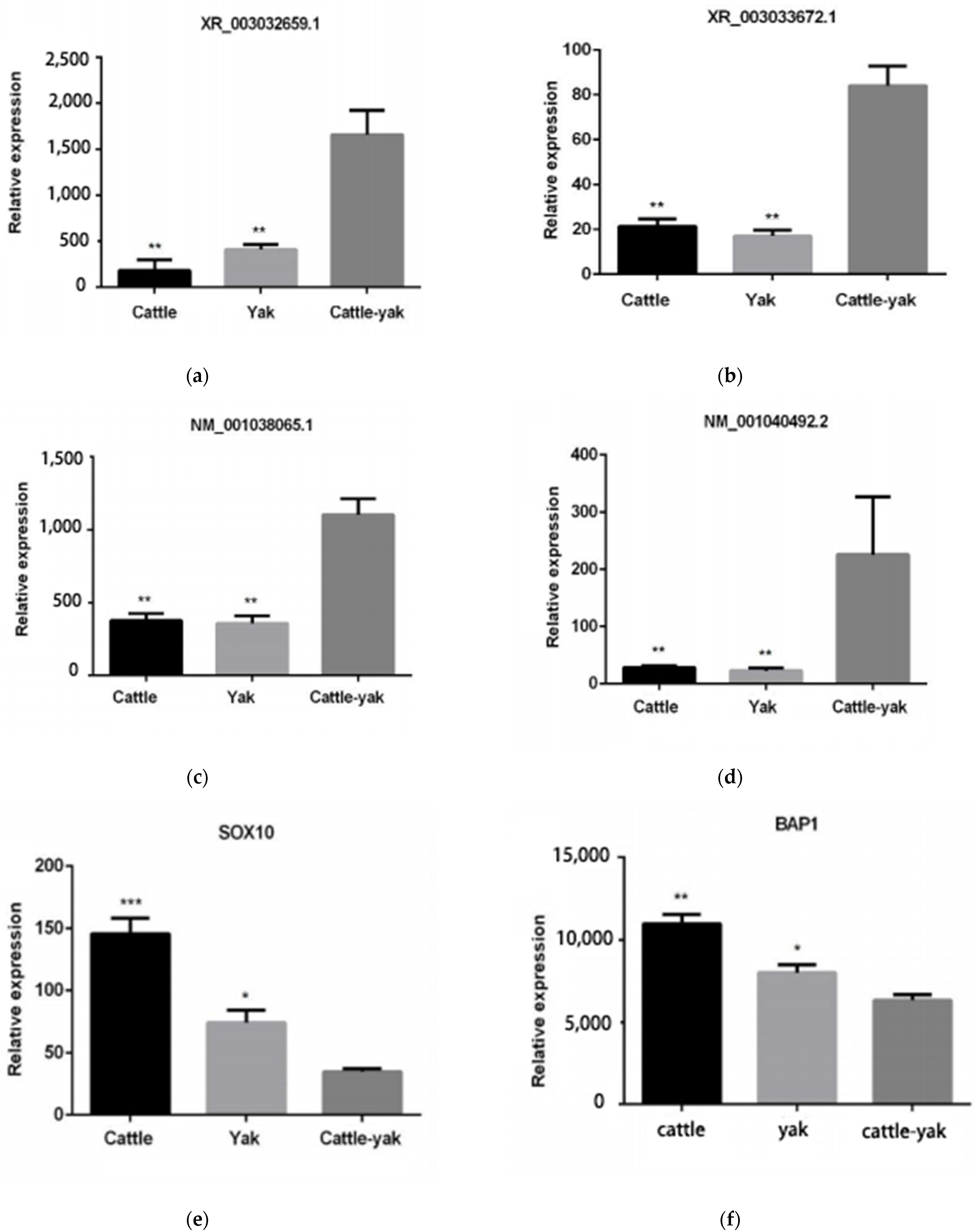 Animals 11 02420 g007
