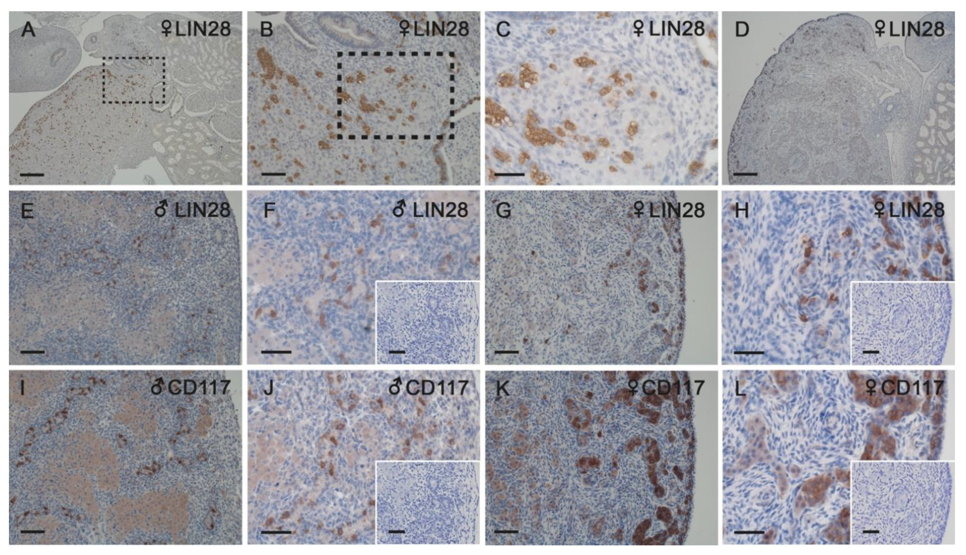 Animals 11 02422 g005