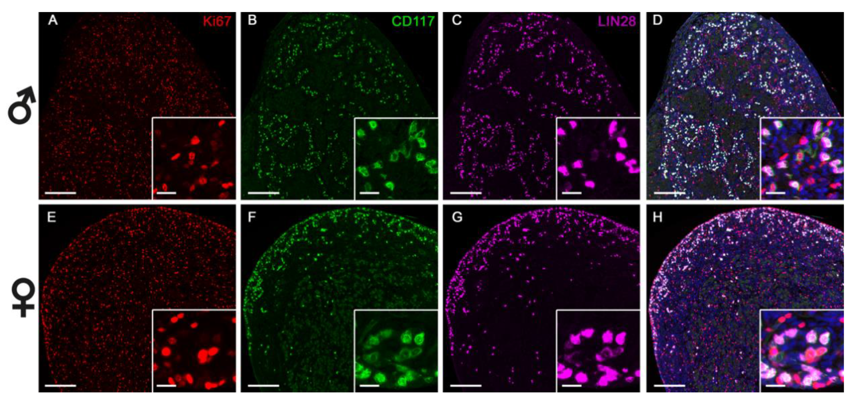 Animals 11 02422 g007