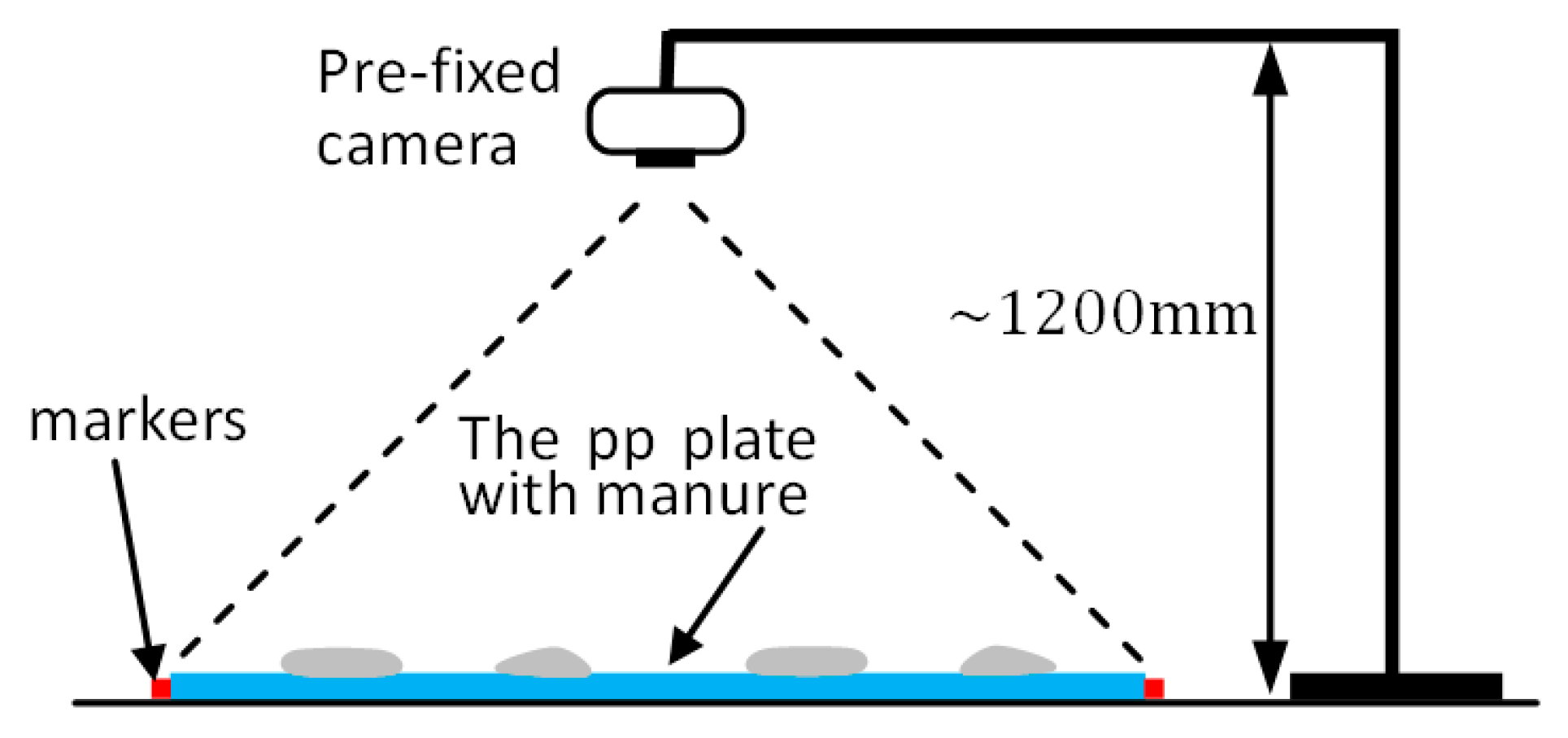 Animals 11 02433 g002