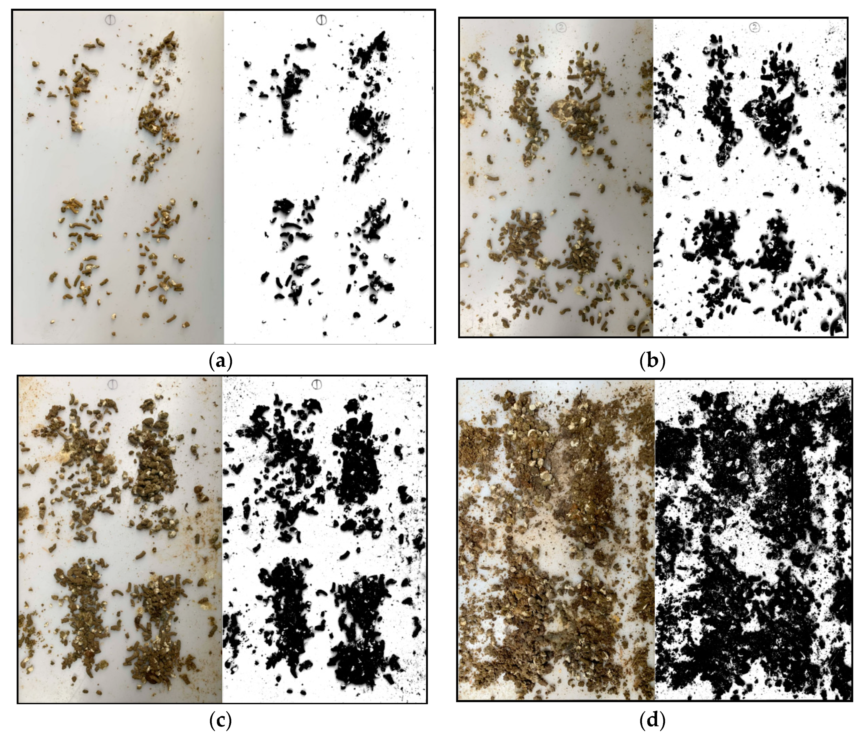 Animals 11 02433 g004