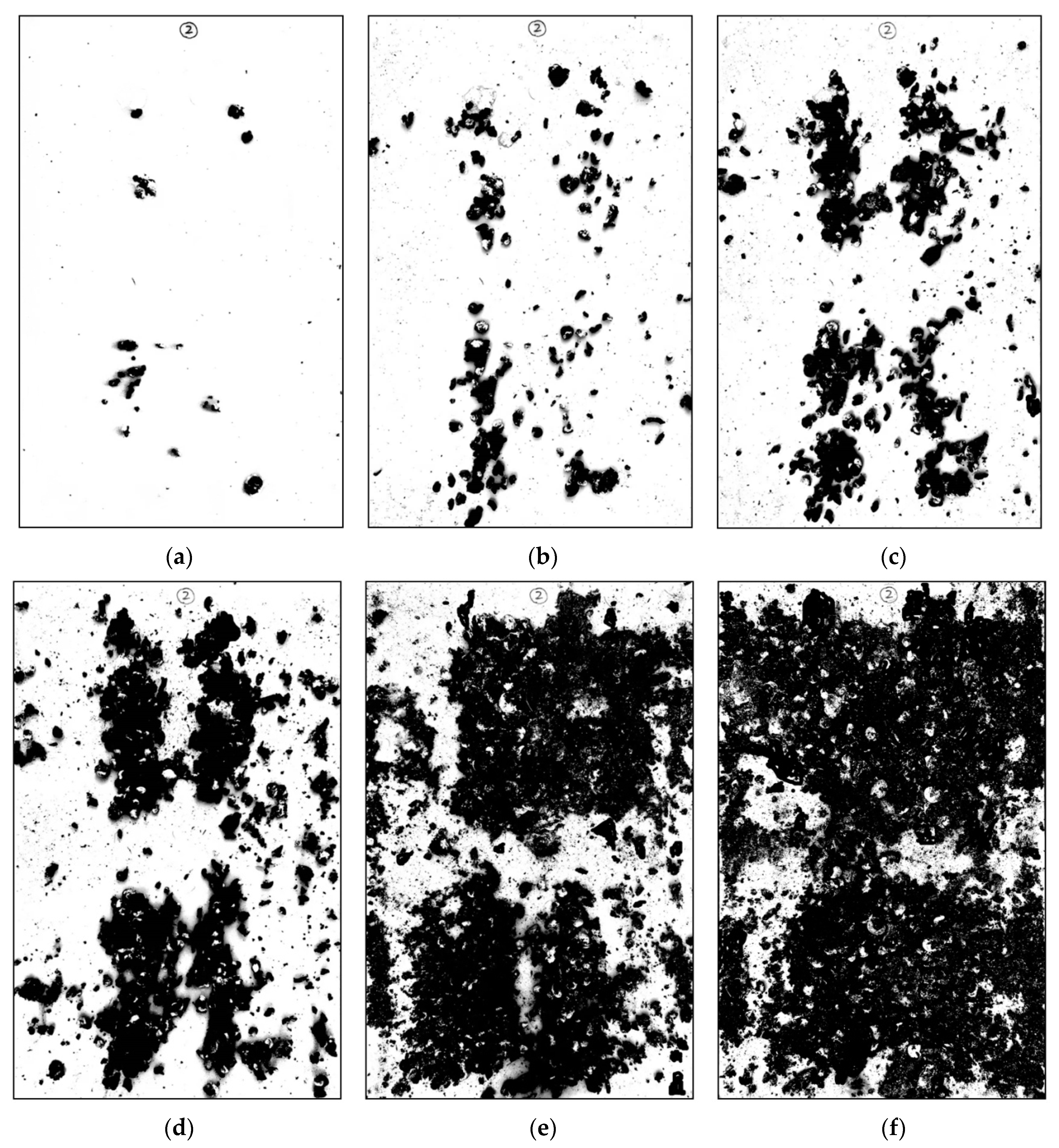 Animals 11 02433 g006