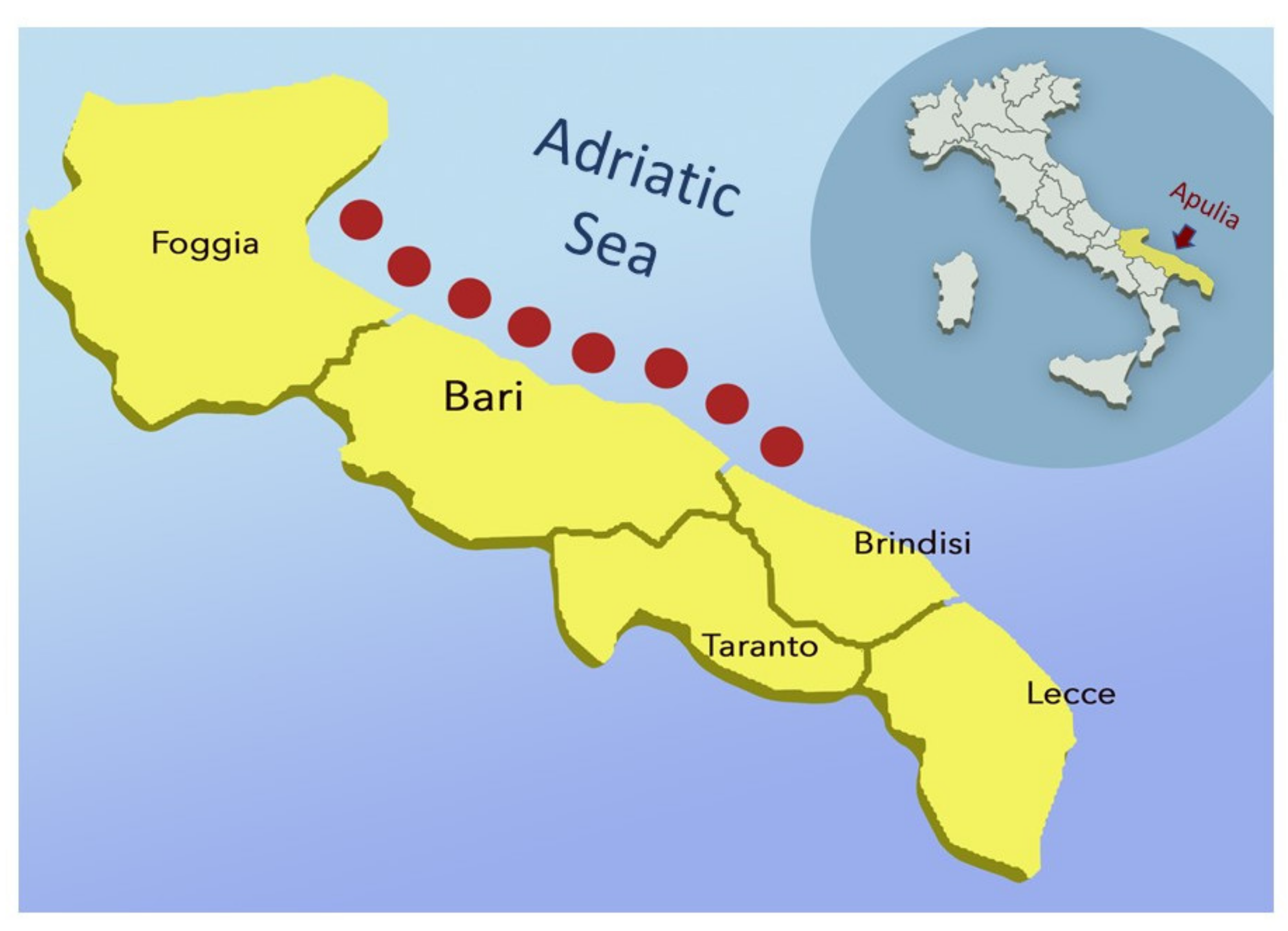 Animals 11 02435 g001