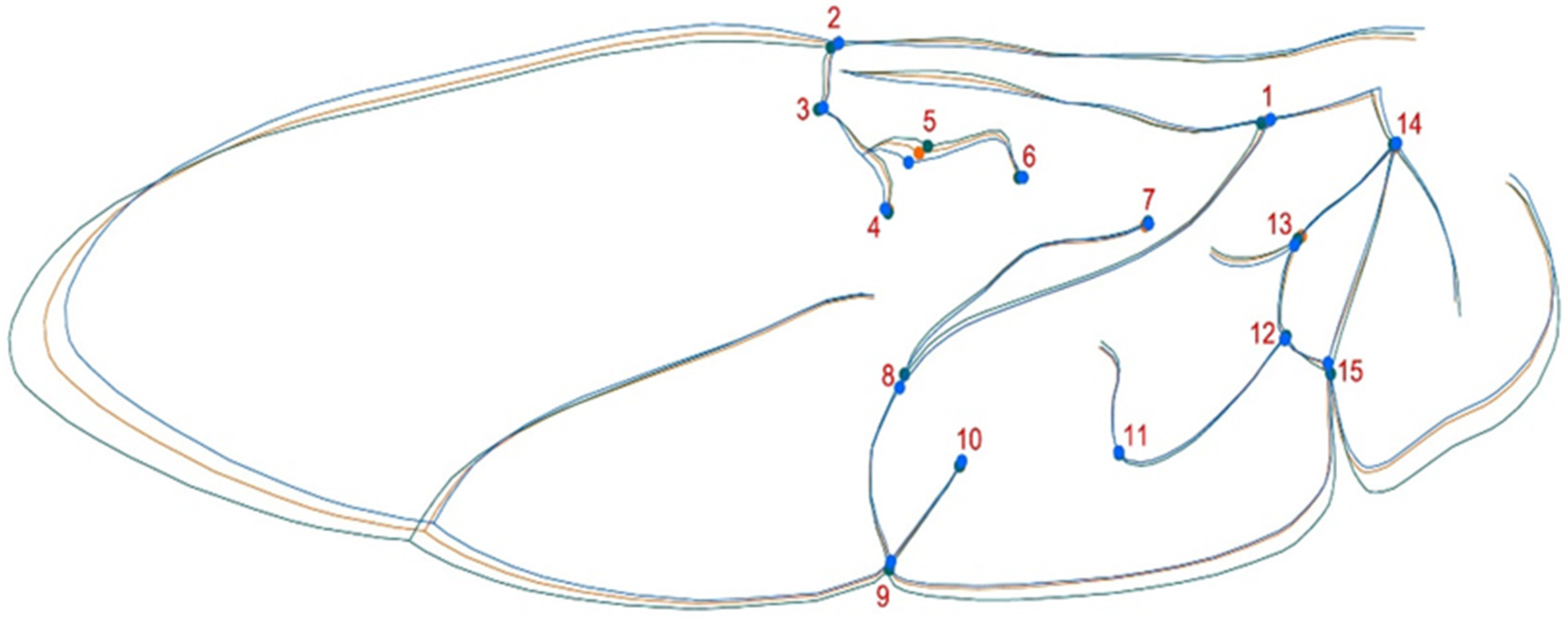 Animals 11 02436 g002