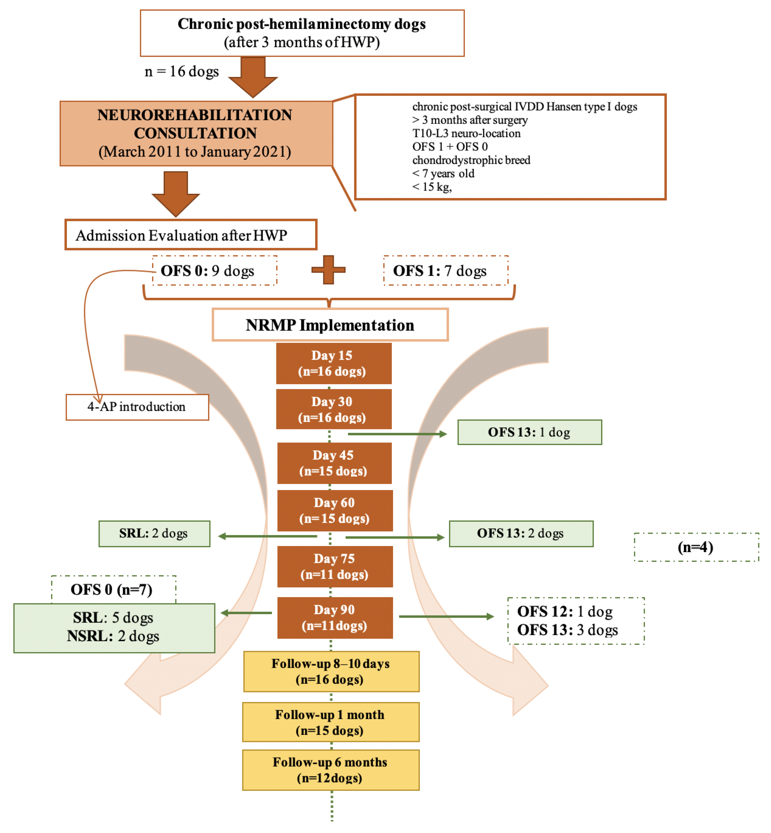 Animals 11 02442 g004