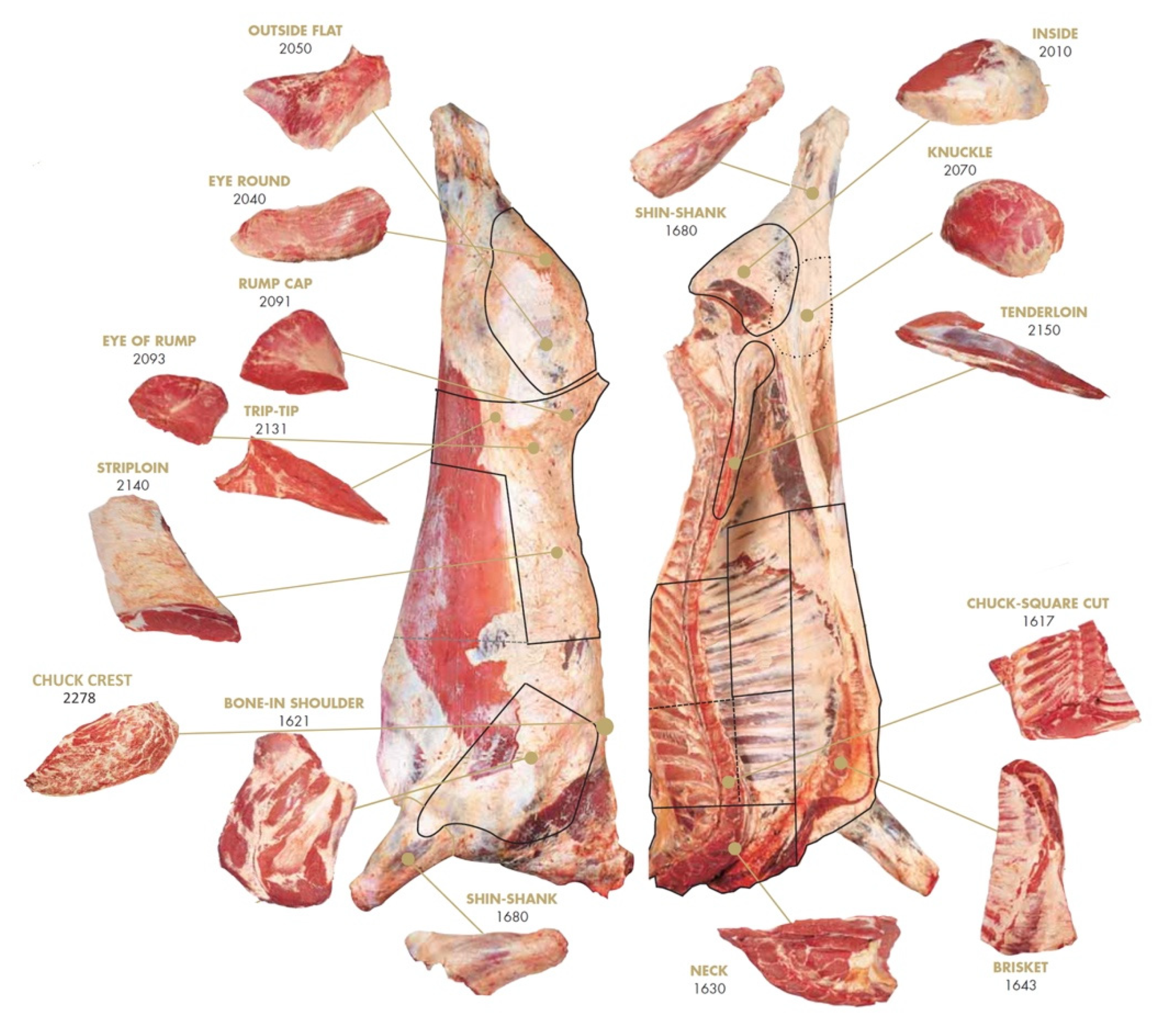 Animals 11 02450 g001