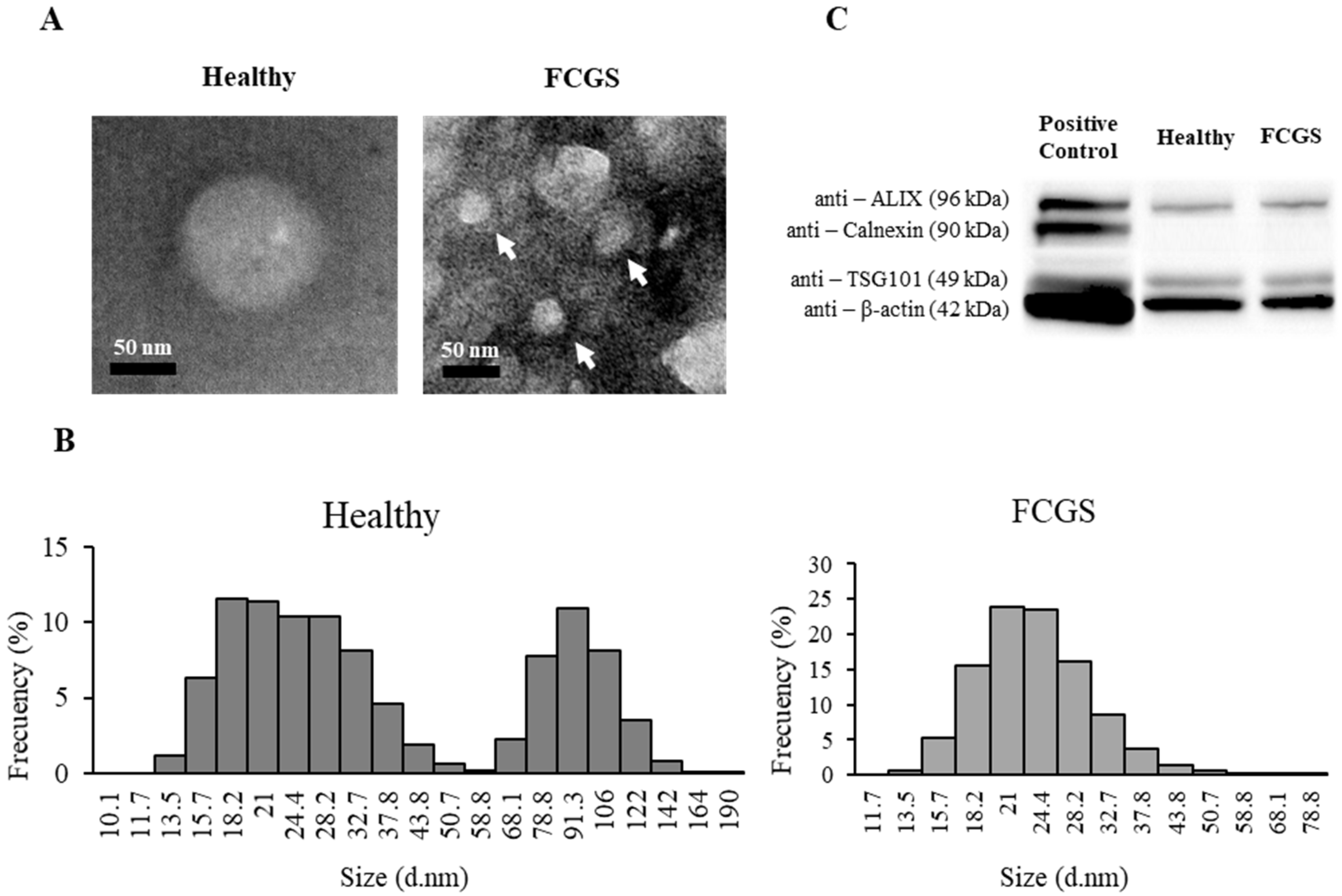 Animals 11 02466 g001