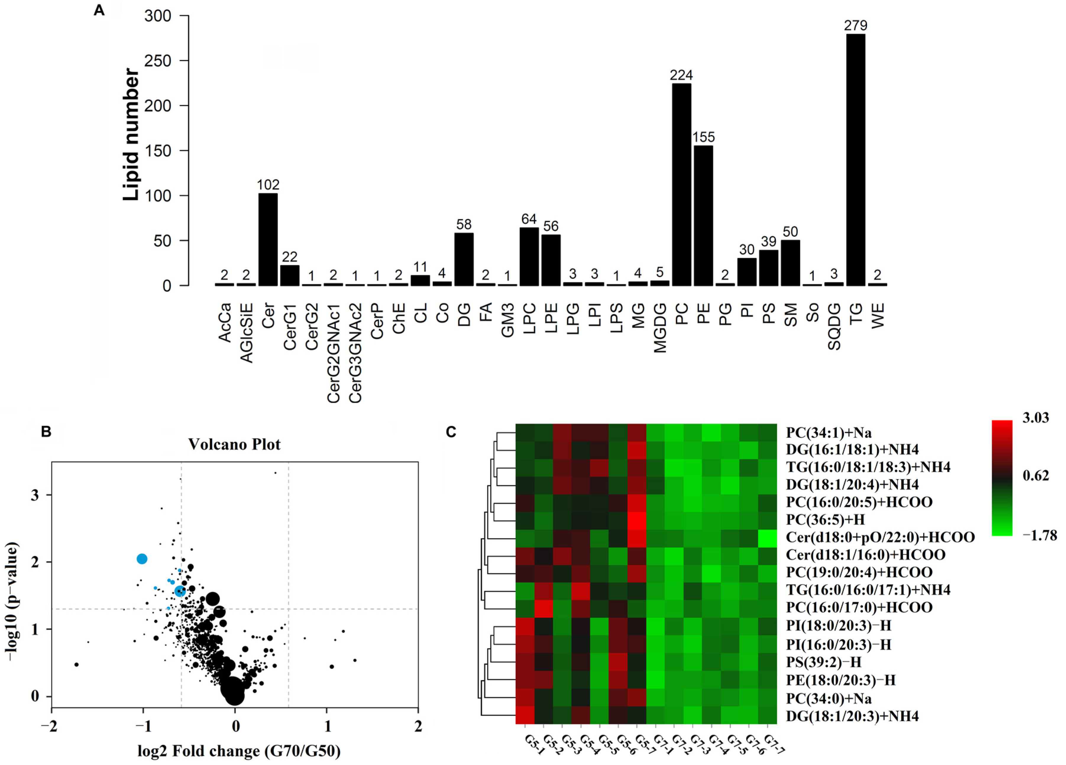 Animals 11 02485 g002