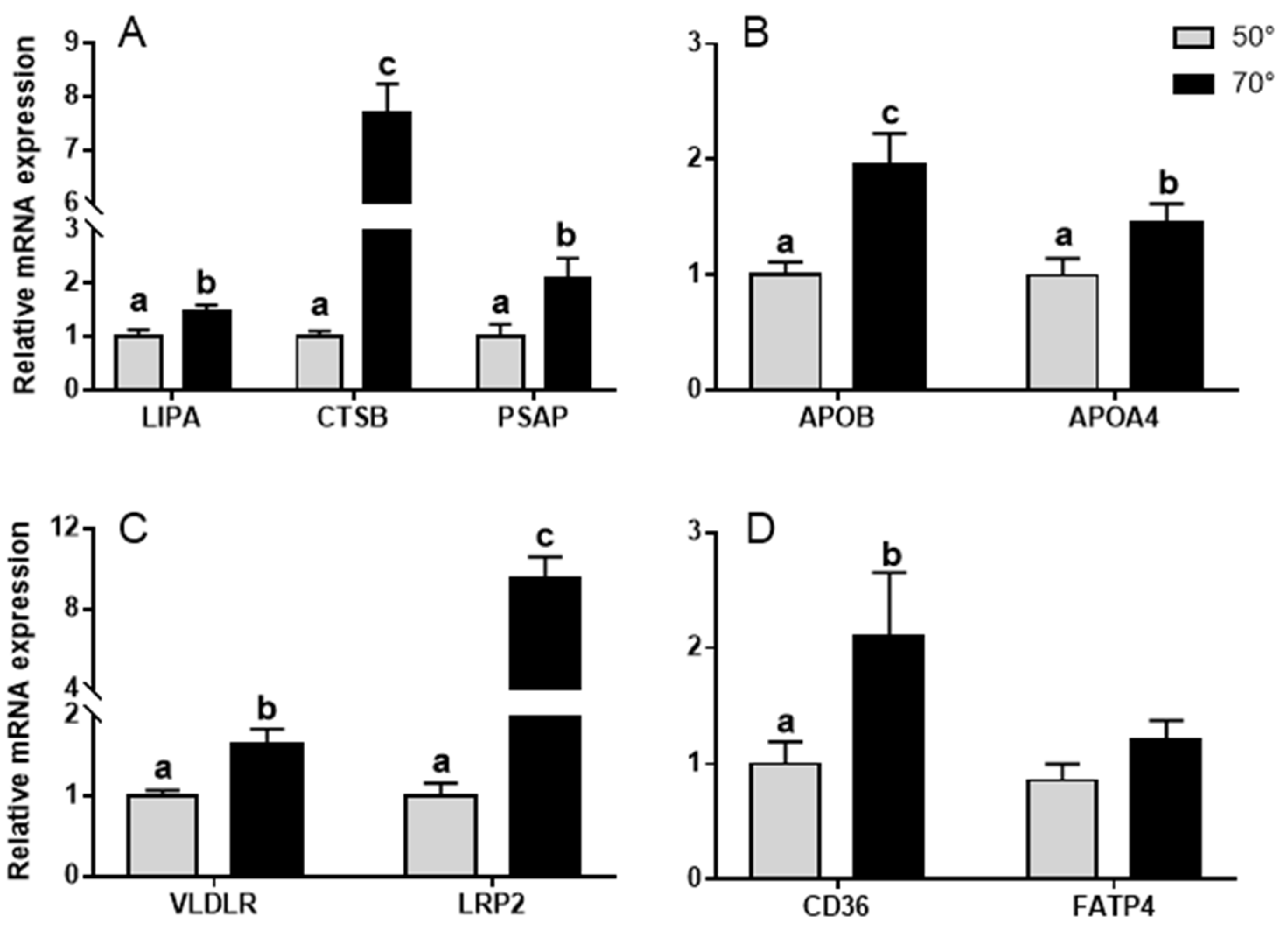 Animals 11 02485 g004