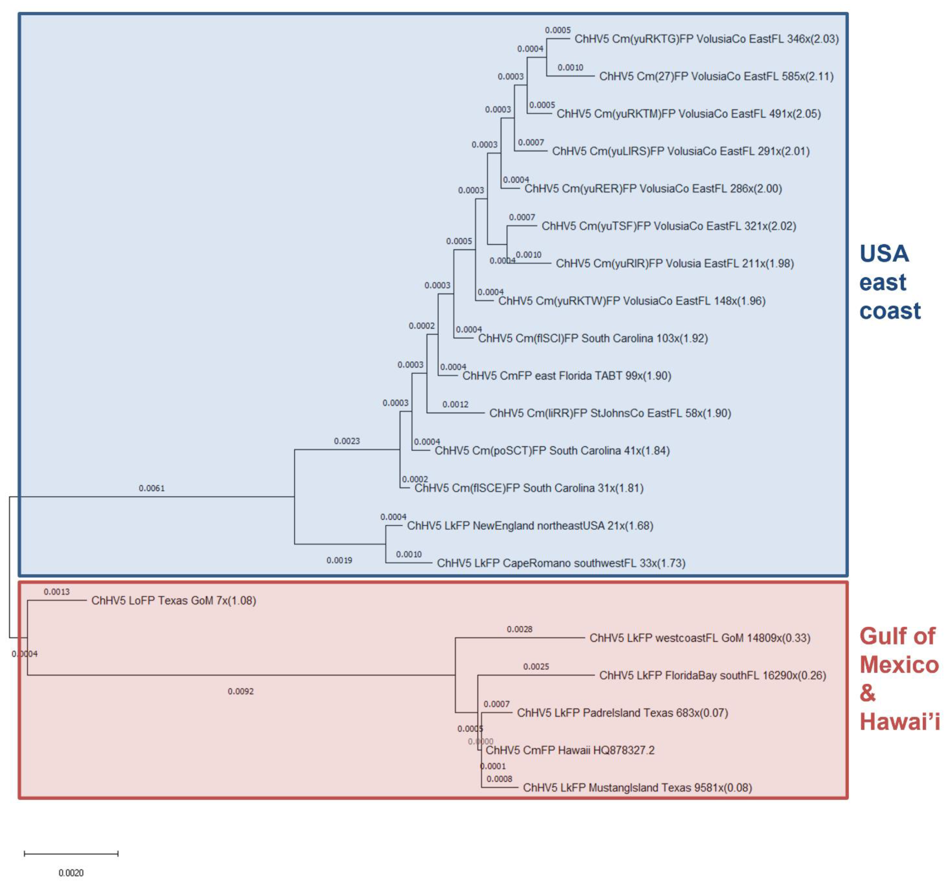 Animals 11 02489 g002