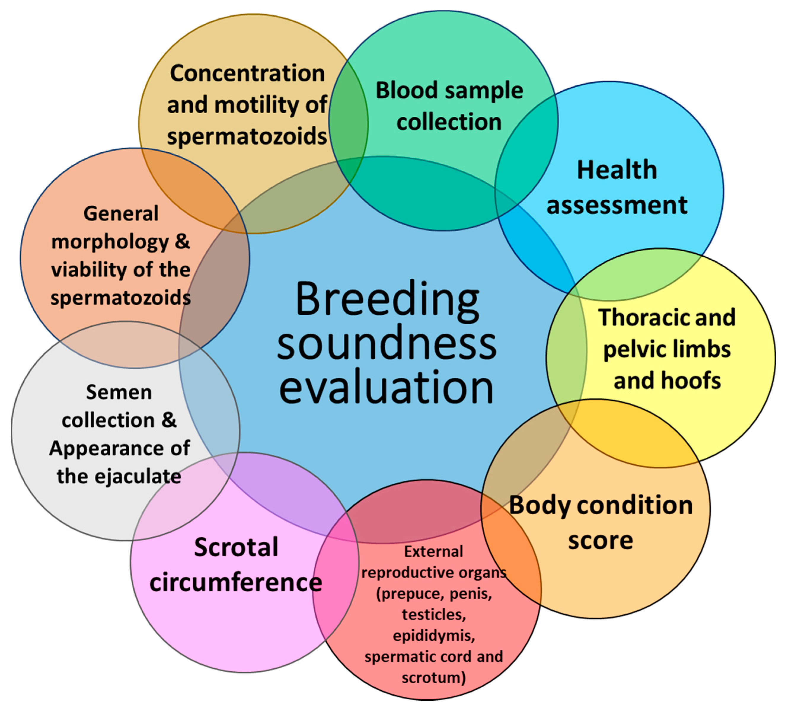 Animals 11 02503 g001