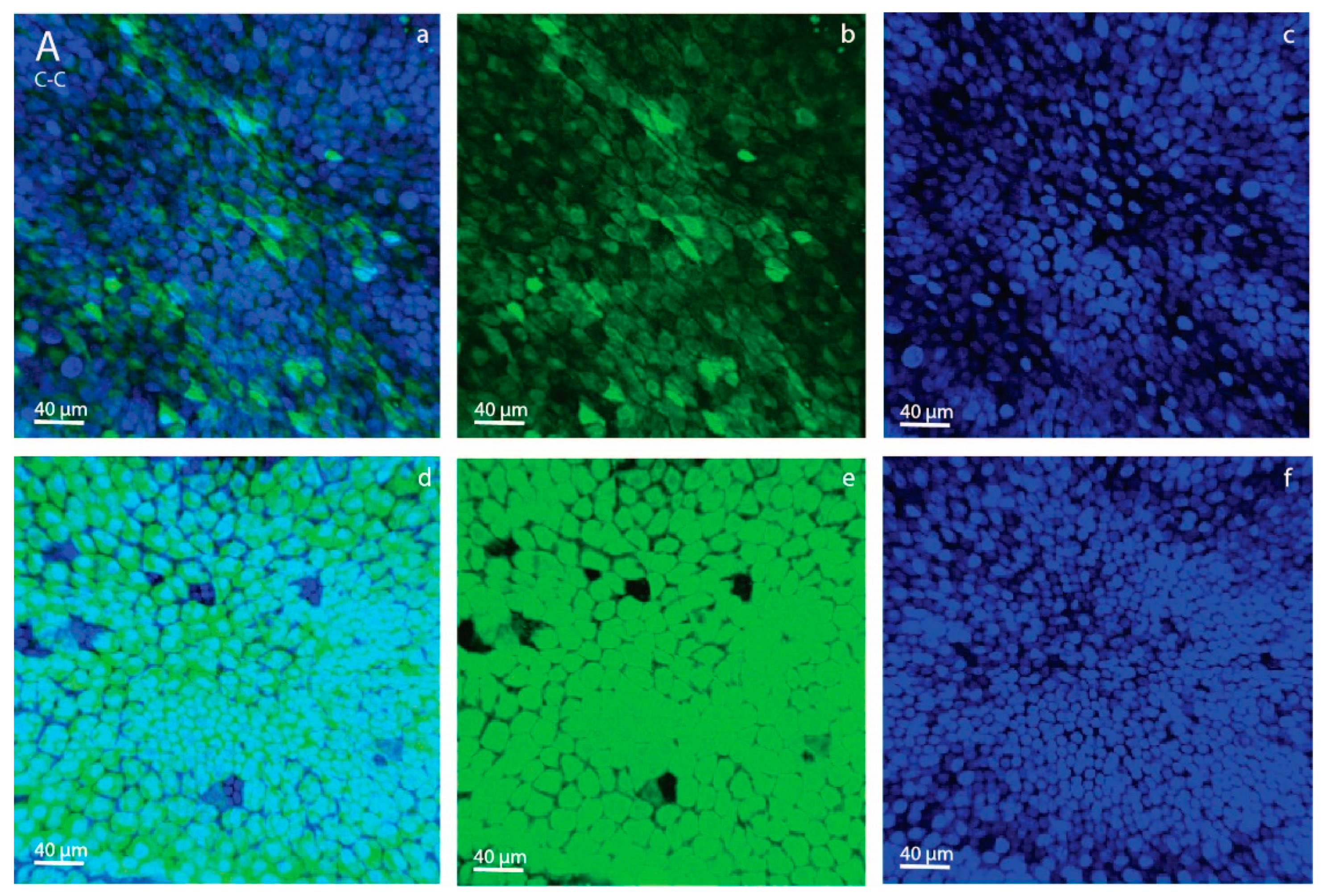 Animals 11 02504 g002a