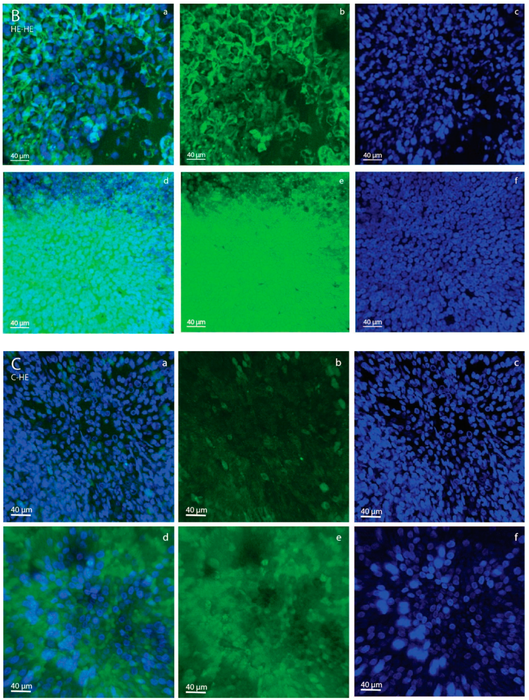 Animals 11 02504 g002b