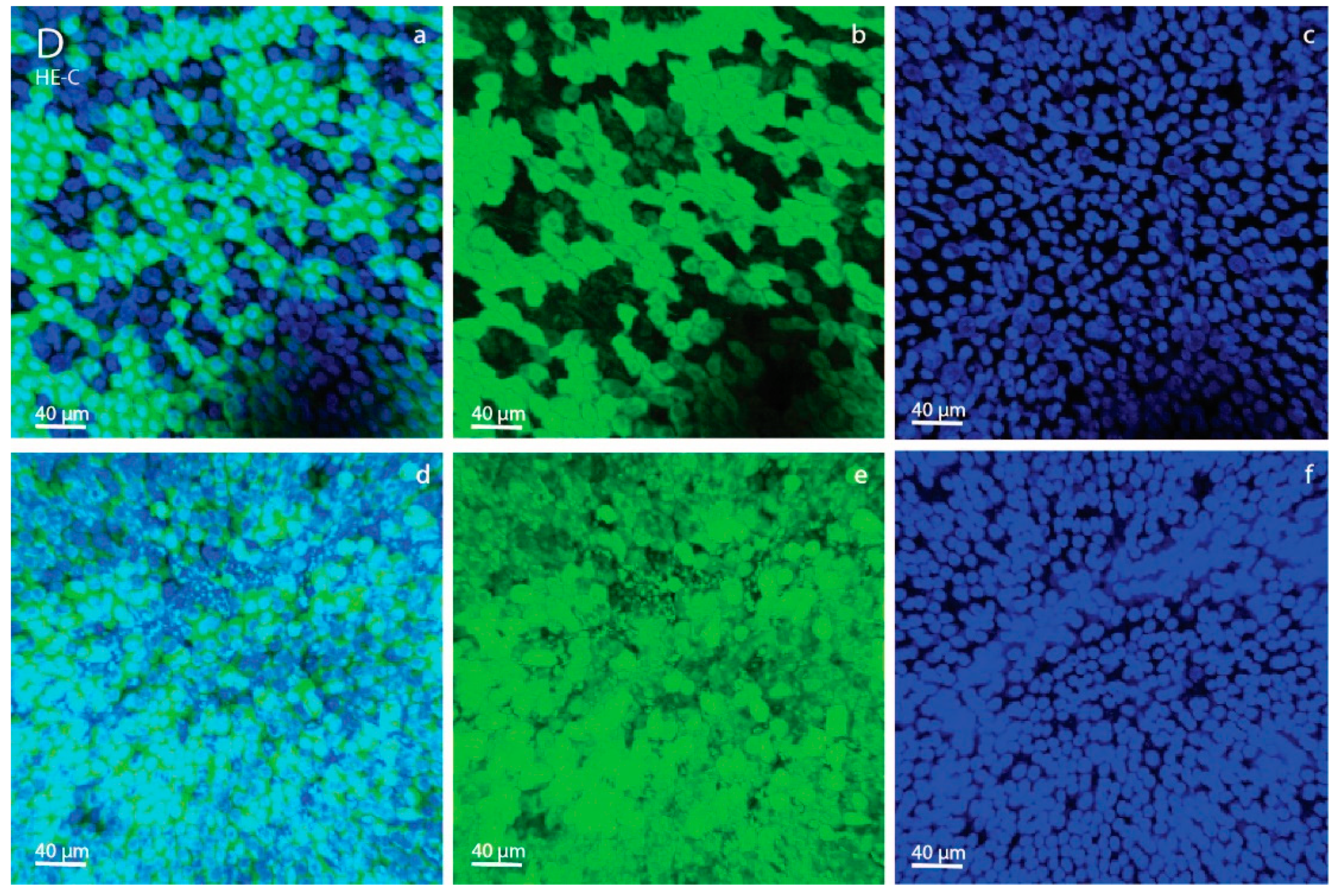 Animals 11 02504 g002c