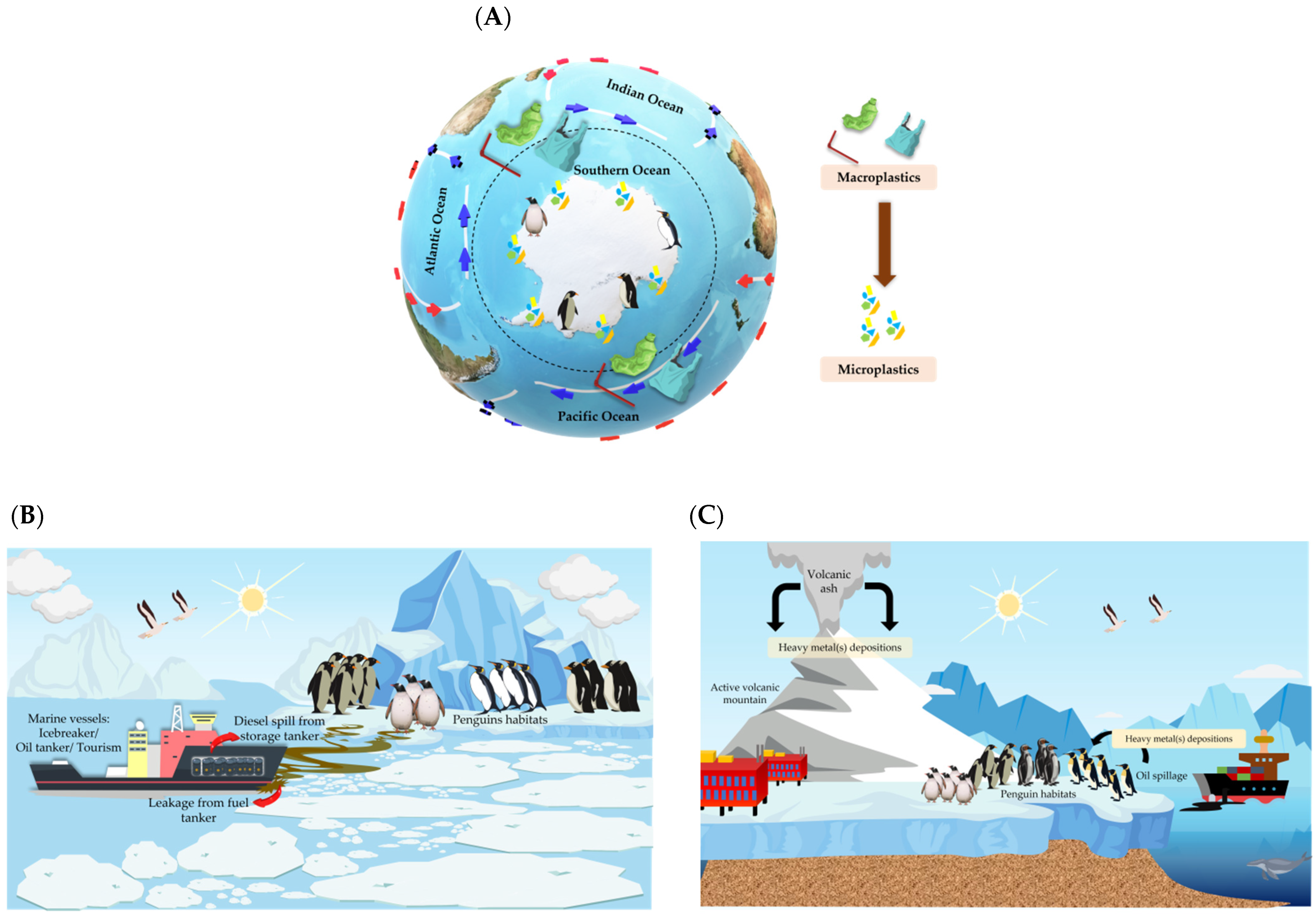 Animals 11 02505 g003