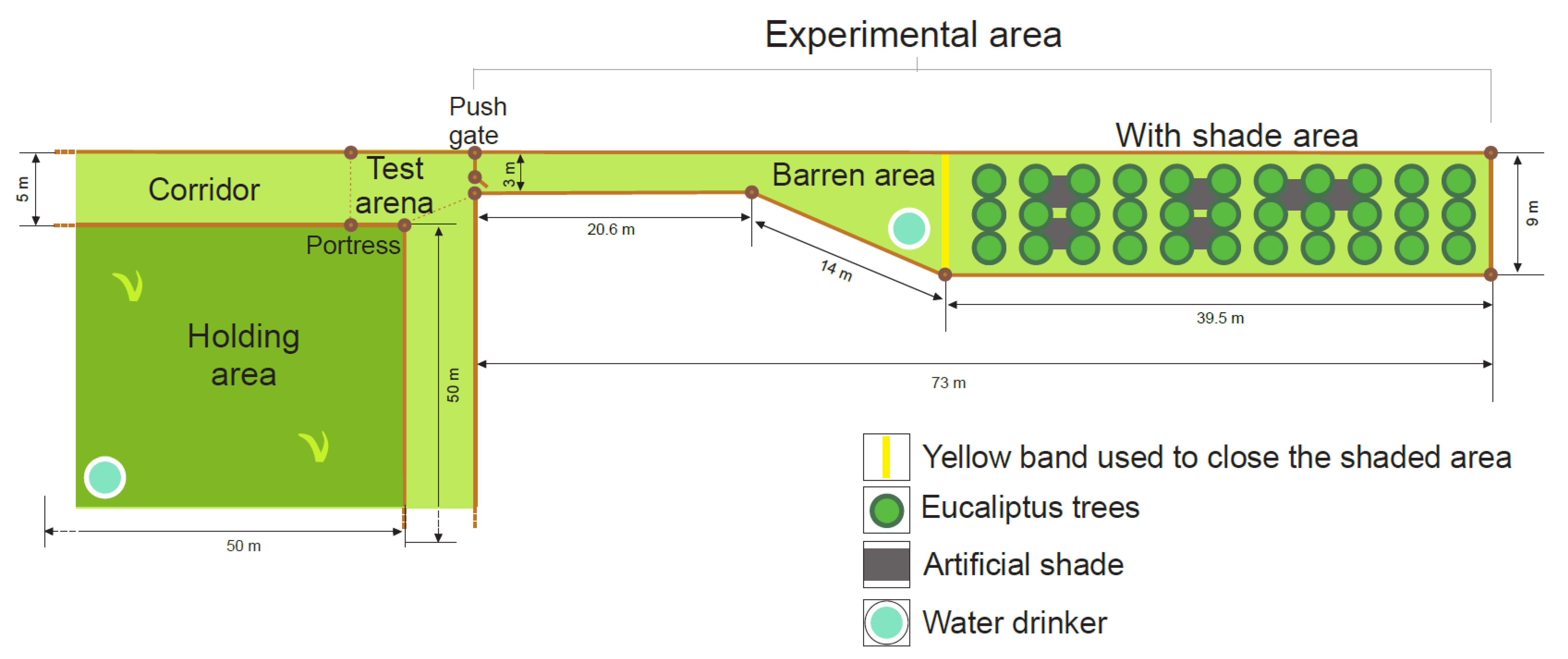 Animals 11 02507 g001