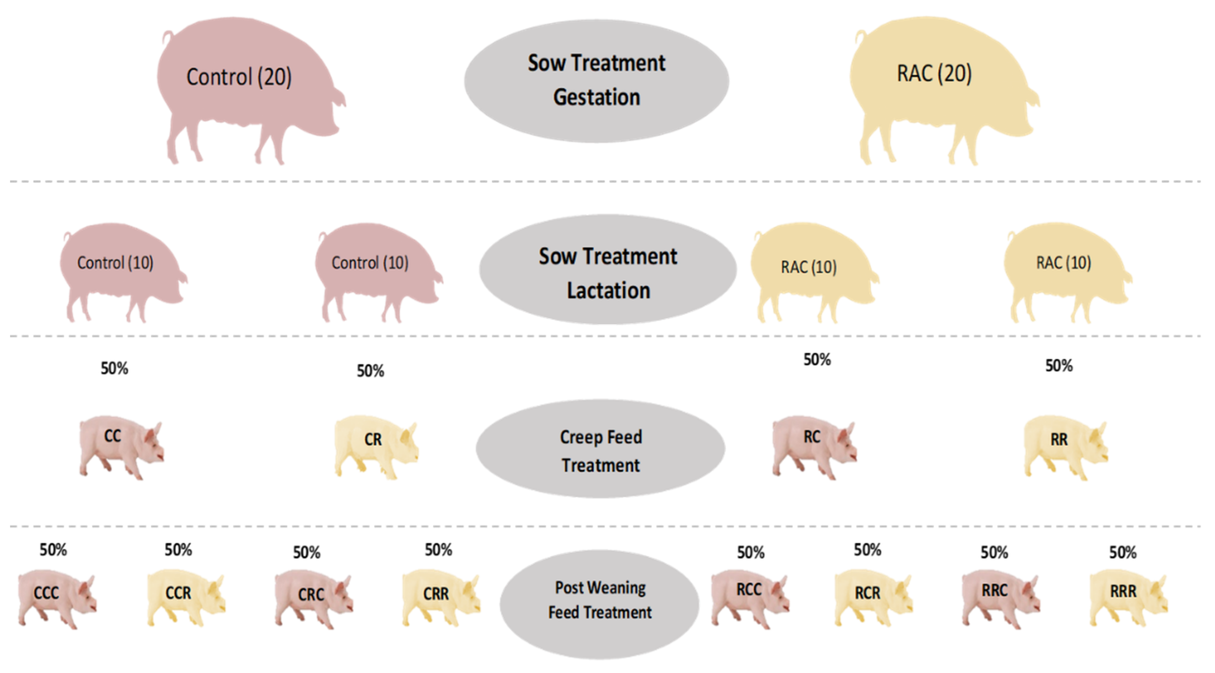 Animals 11 02511 g001