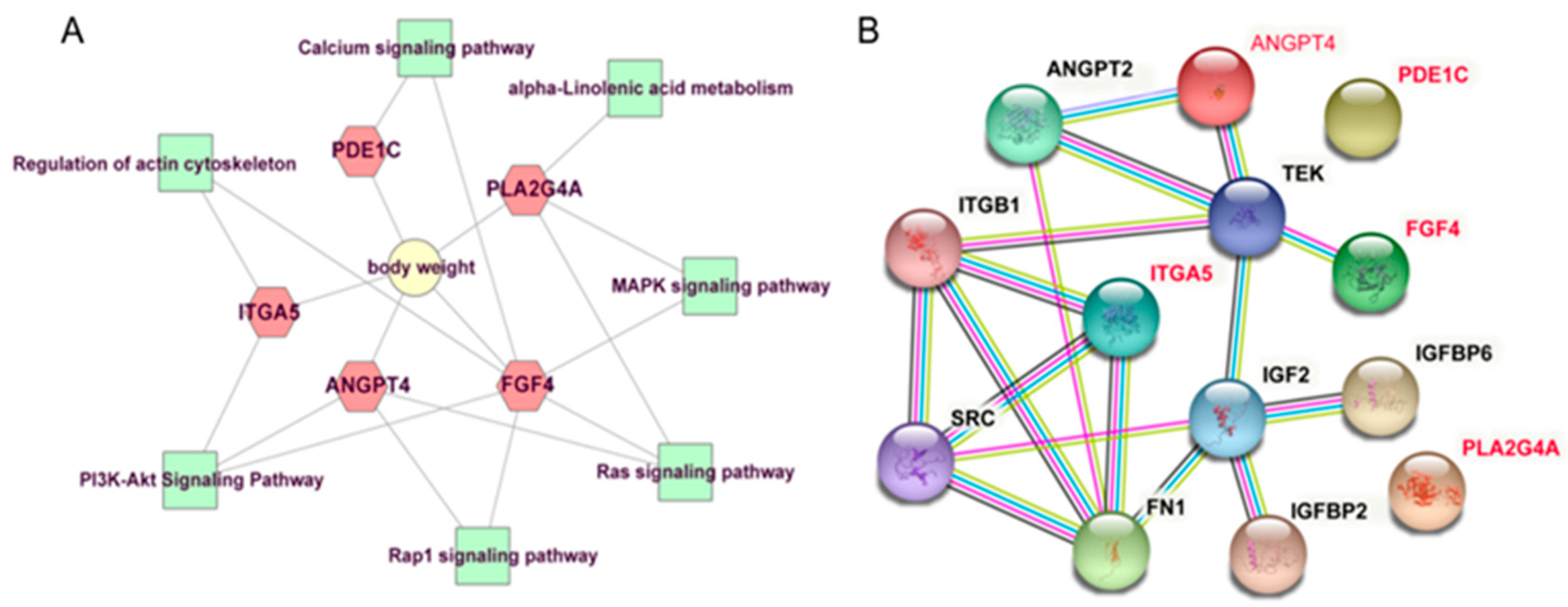 Animals 11 02524 g005
