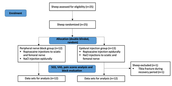 Animals 11 02567 g005 550
