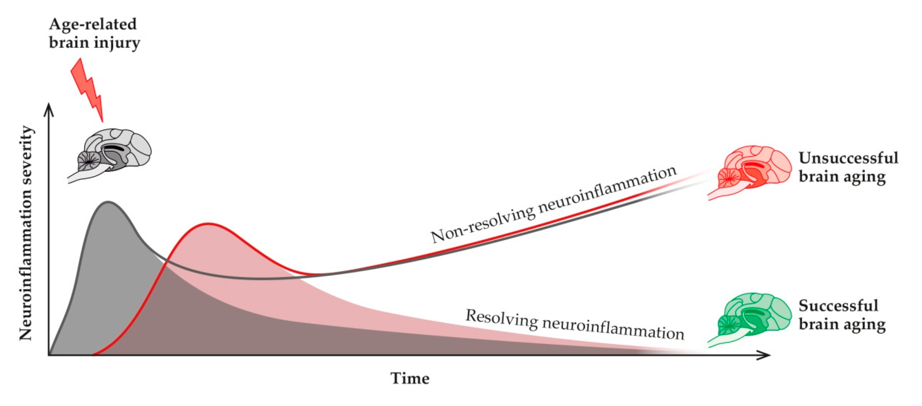Animals 11 02584 g003 Animals 11 02584 g003
