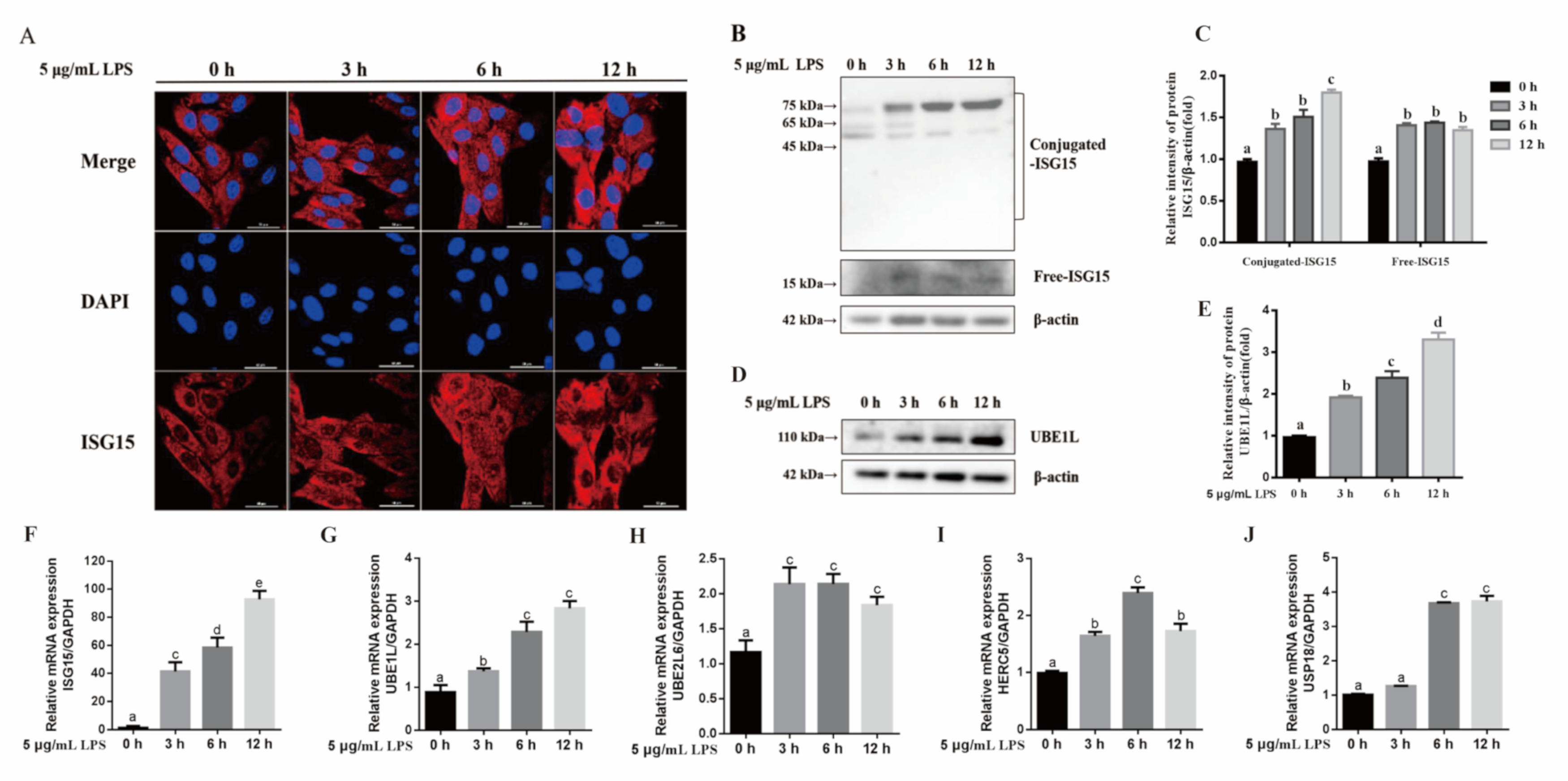 Animals 11 02593 g001