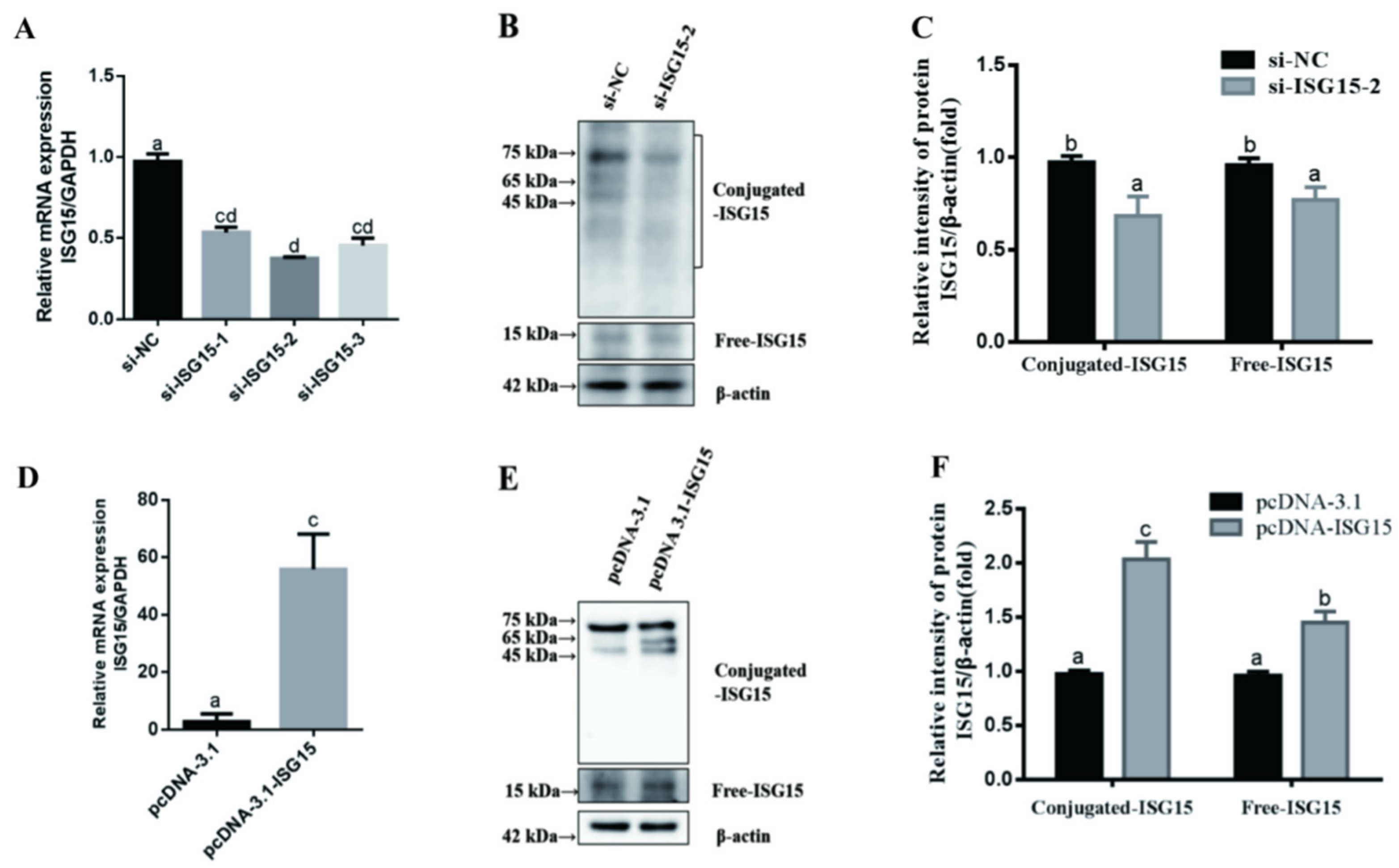Animals 11 02593 g002