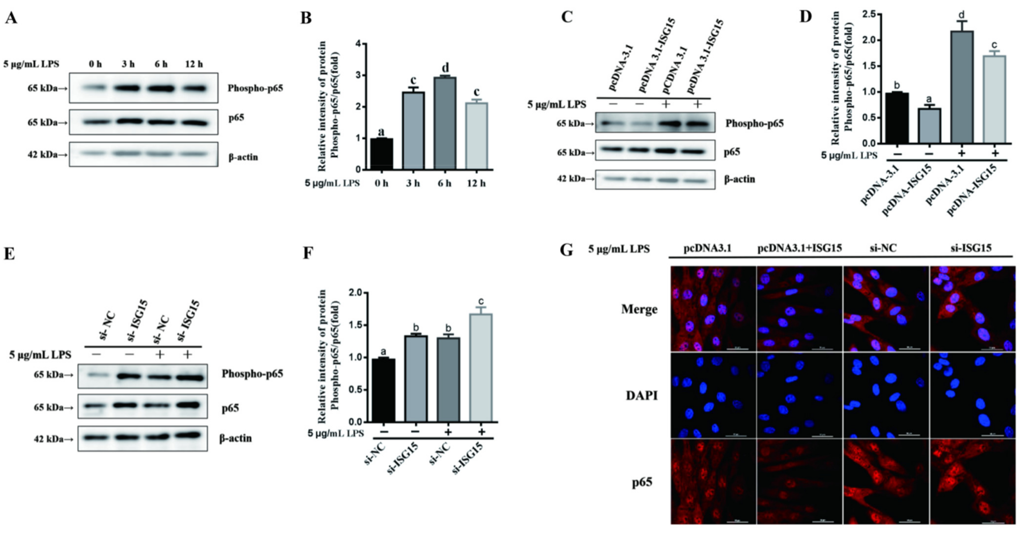 Animals 11 02593 g004