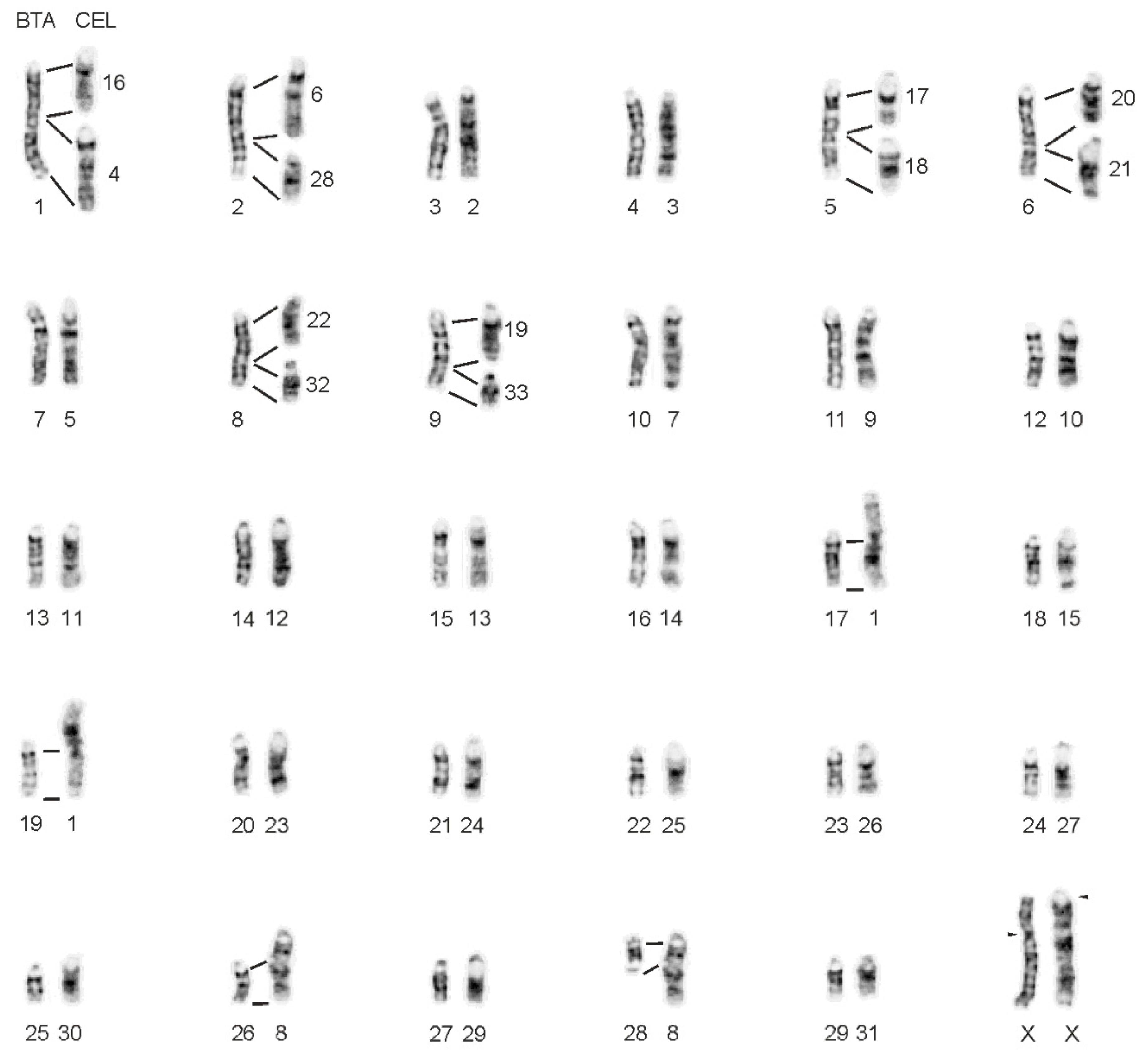 Animals 11 02614 g001