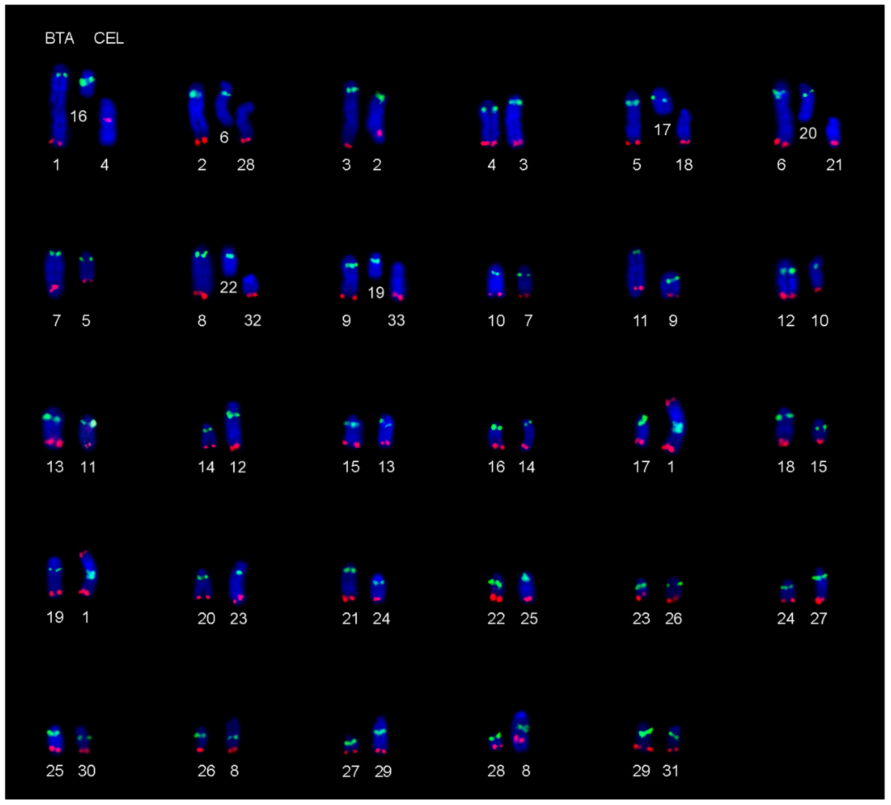 Animals 11 02614 g002