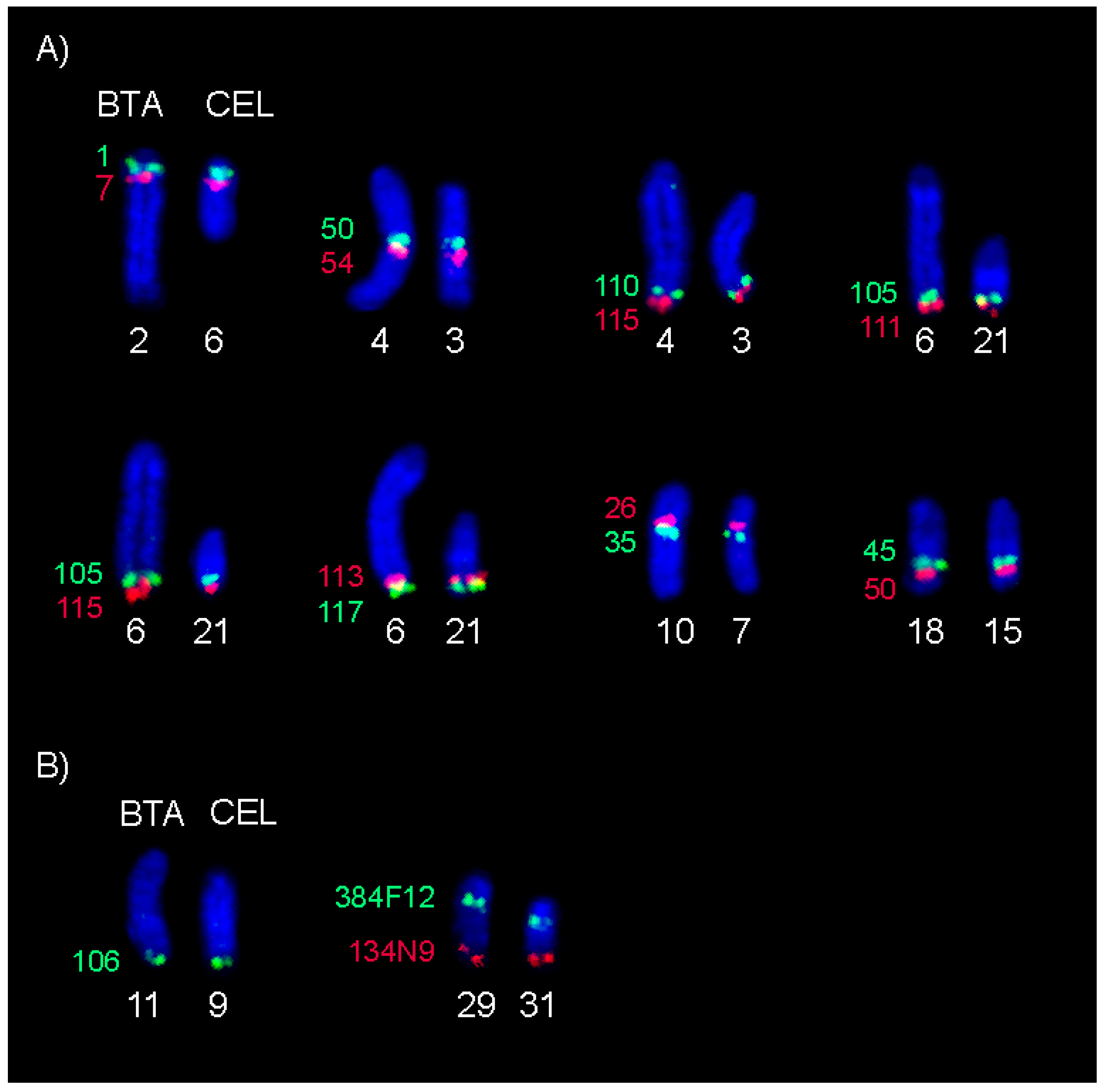 Animals 11 02614 g003