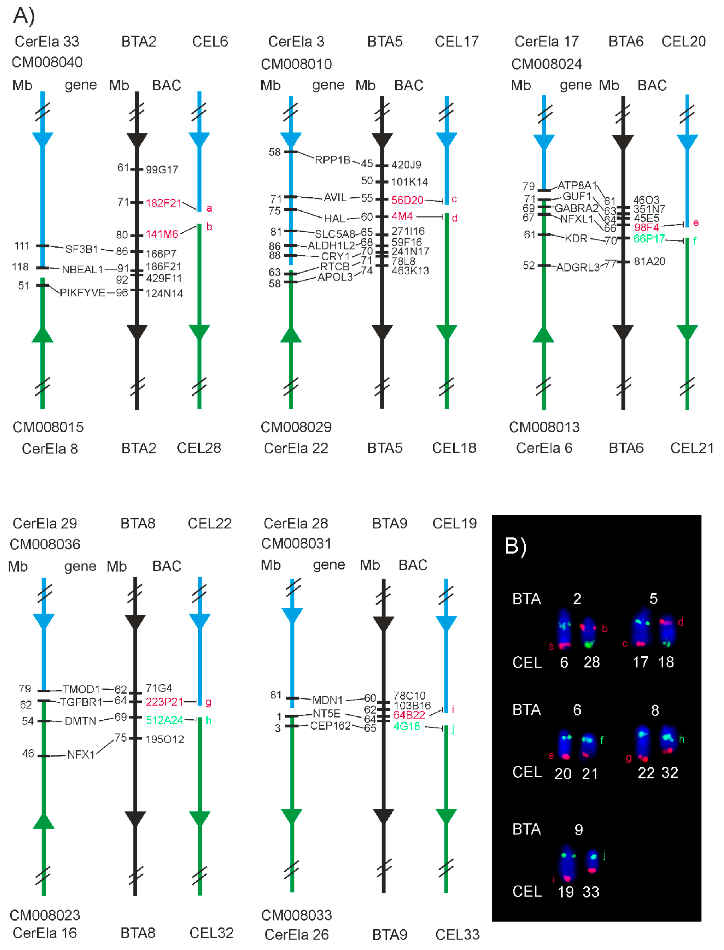 Animals 11 02614 g004