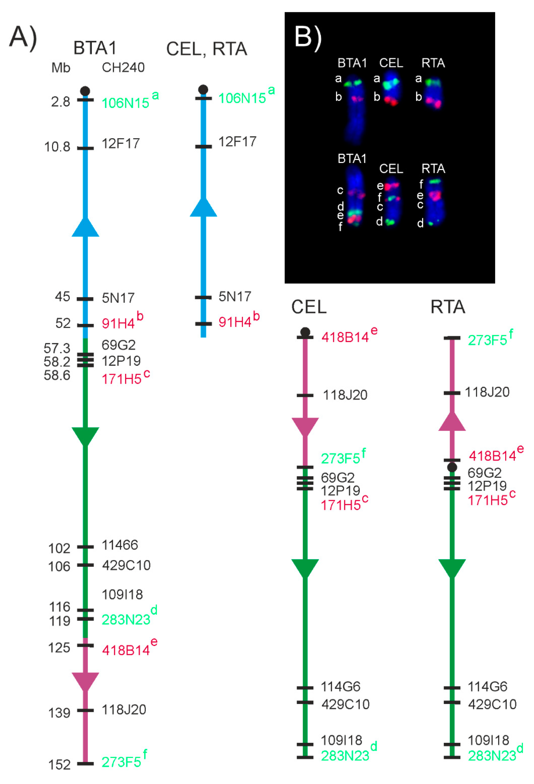 Animals 11 02614 g005