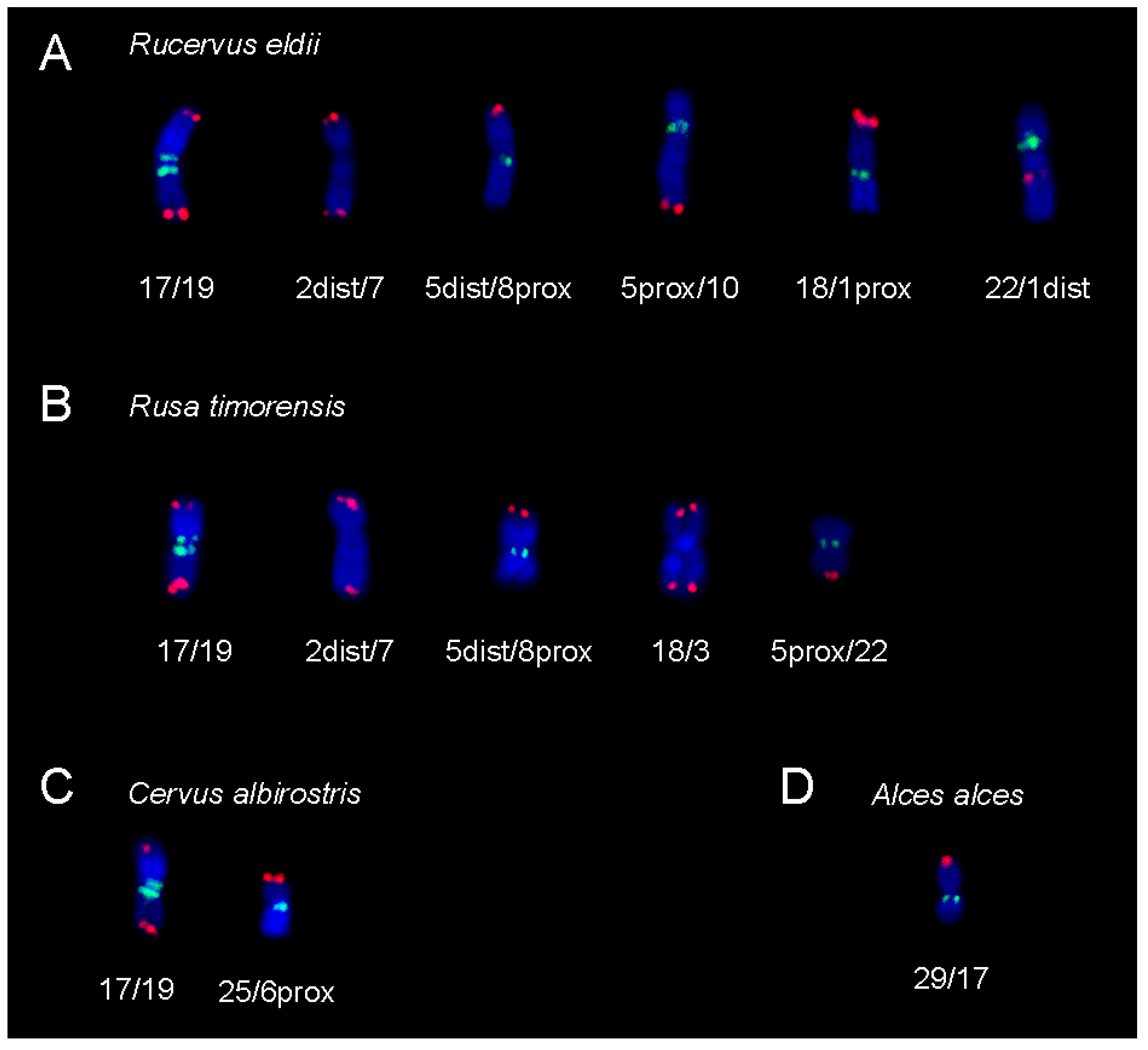 Animals 11 02614 g006