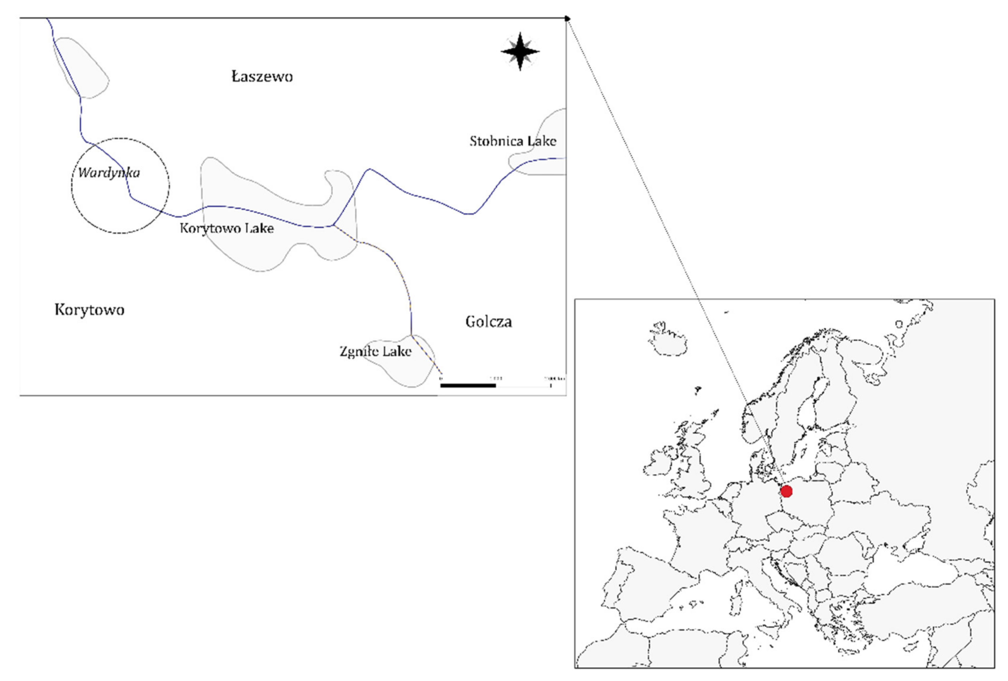 Animals 11 02627 g001 Animals 11 02627 g001